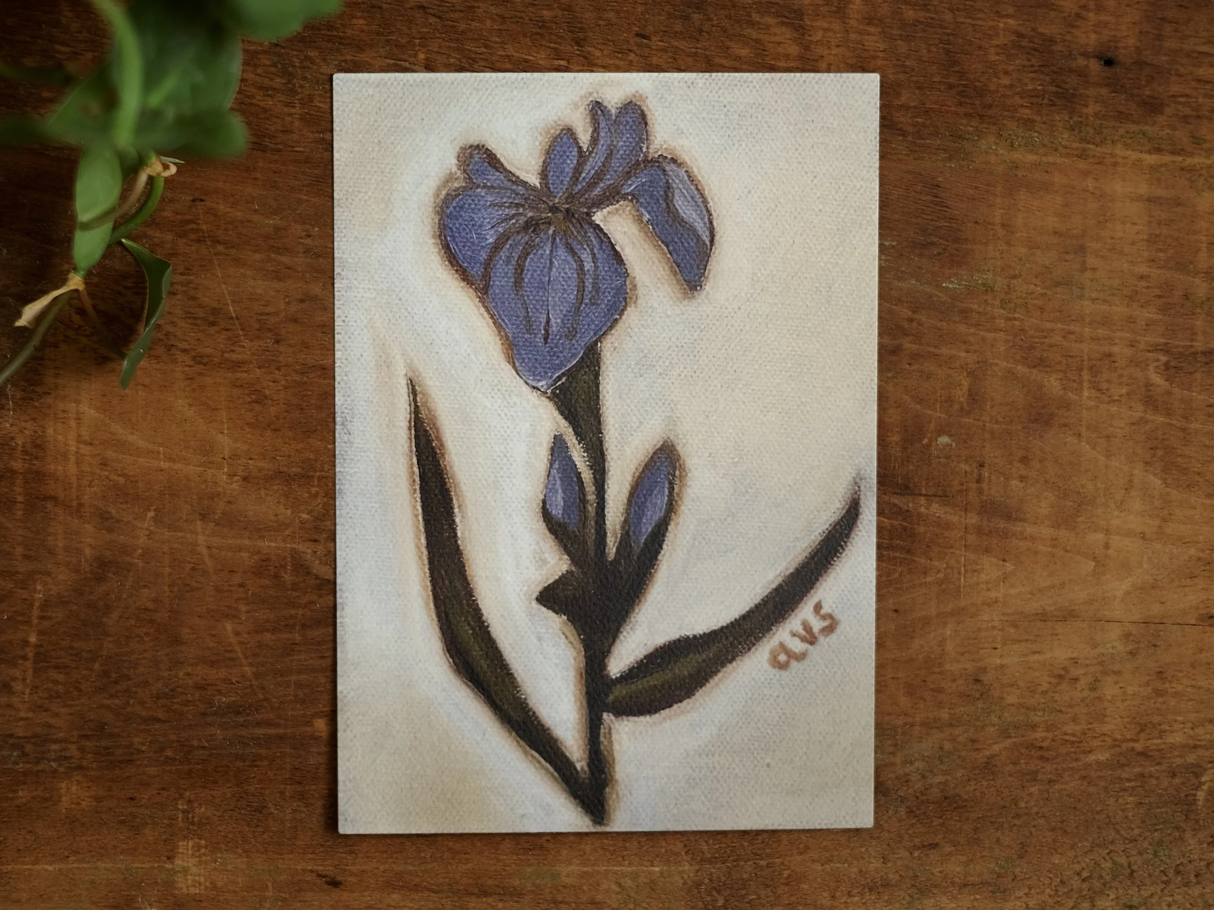 February (Iris), 5x7 Fine Art Print
