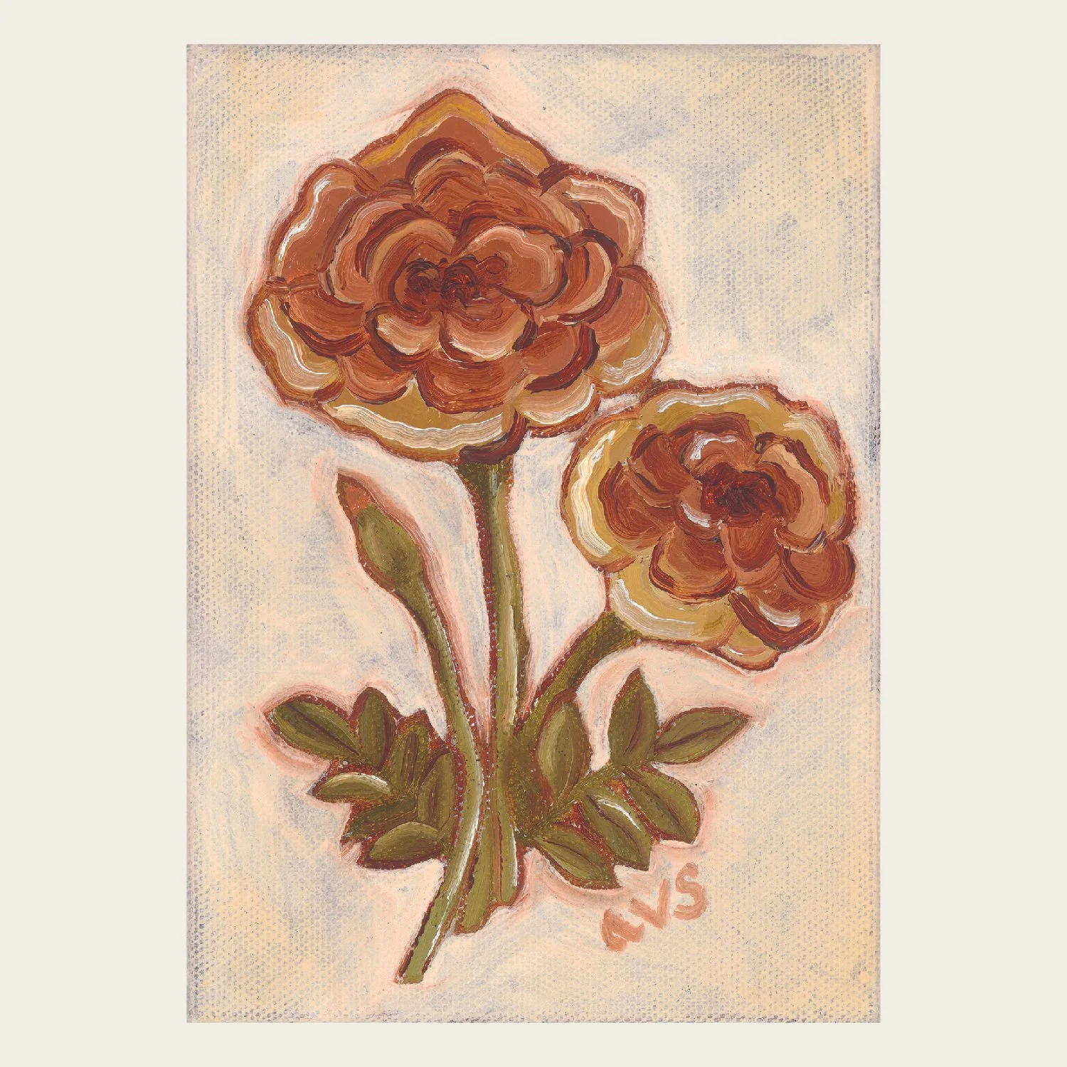 Marigold-01.jpg