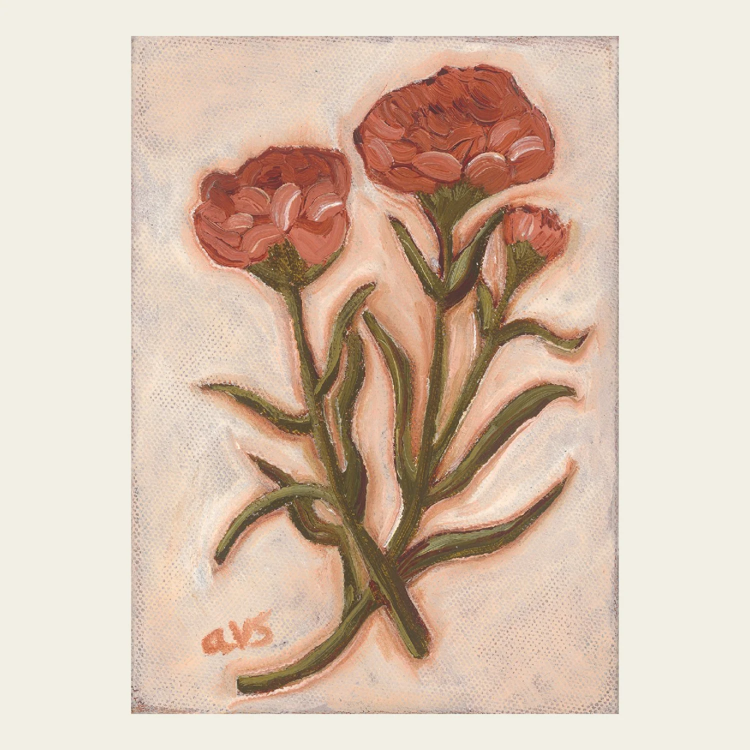 Carnation-01.jpg