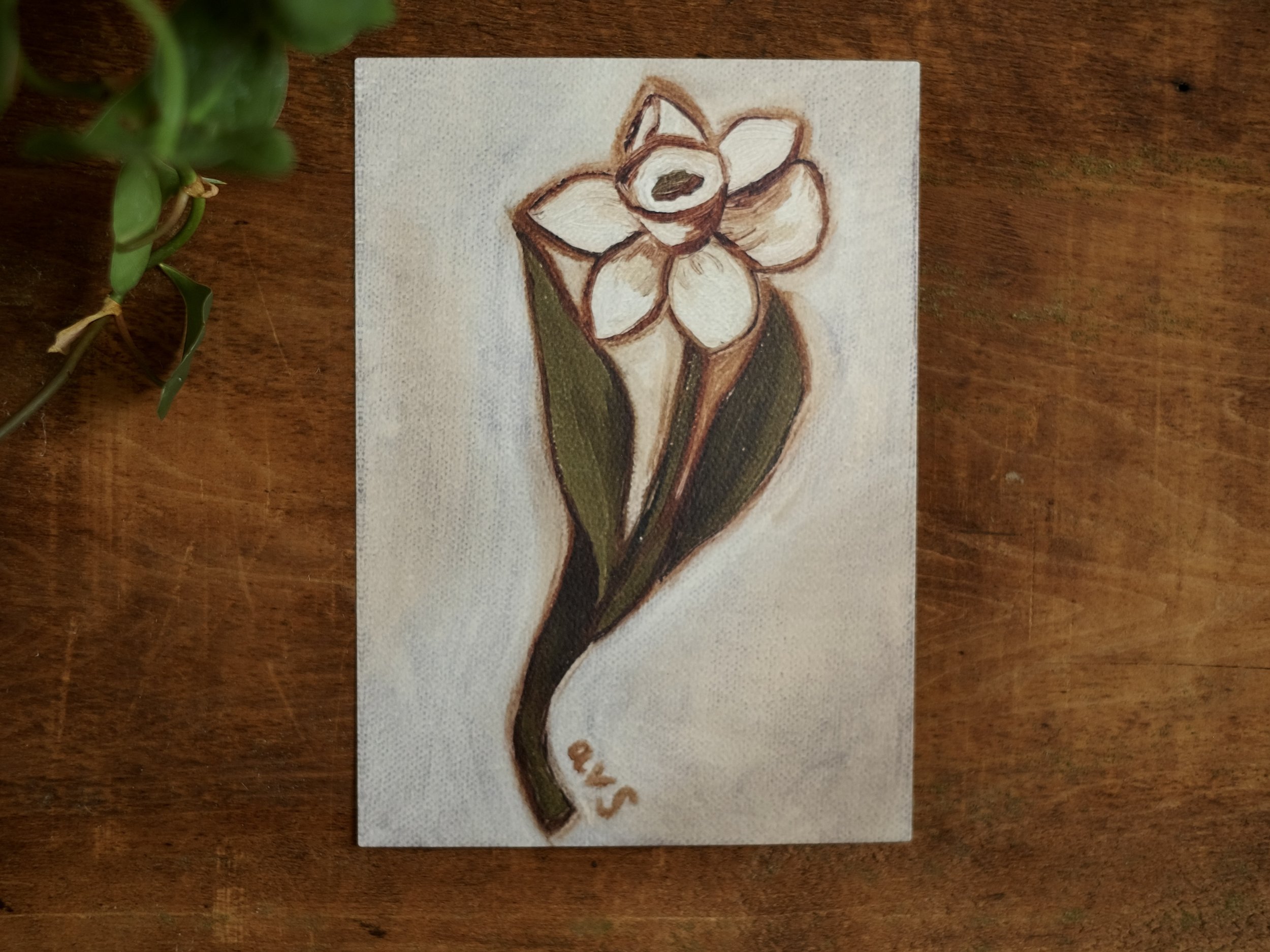 December (White Narcissus), 5x7 Fine Art Print