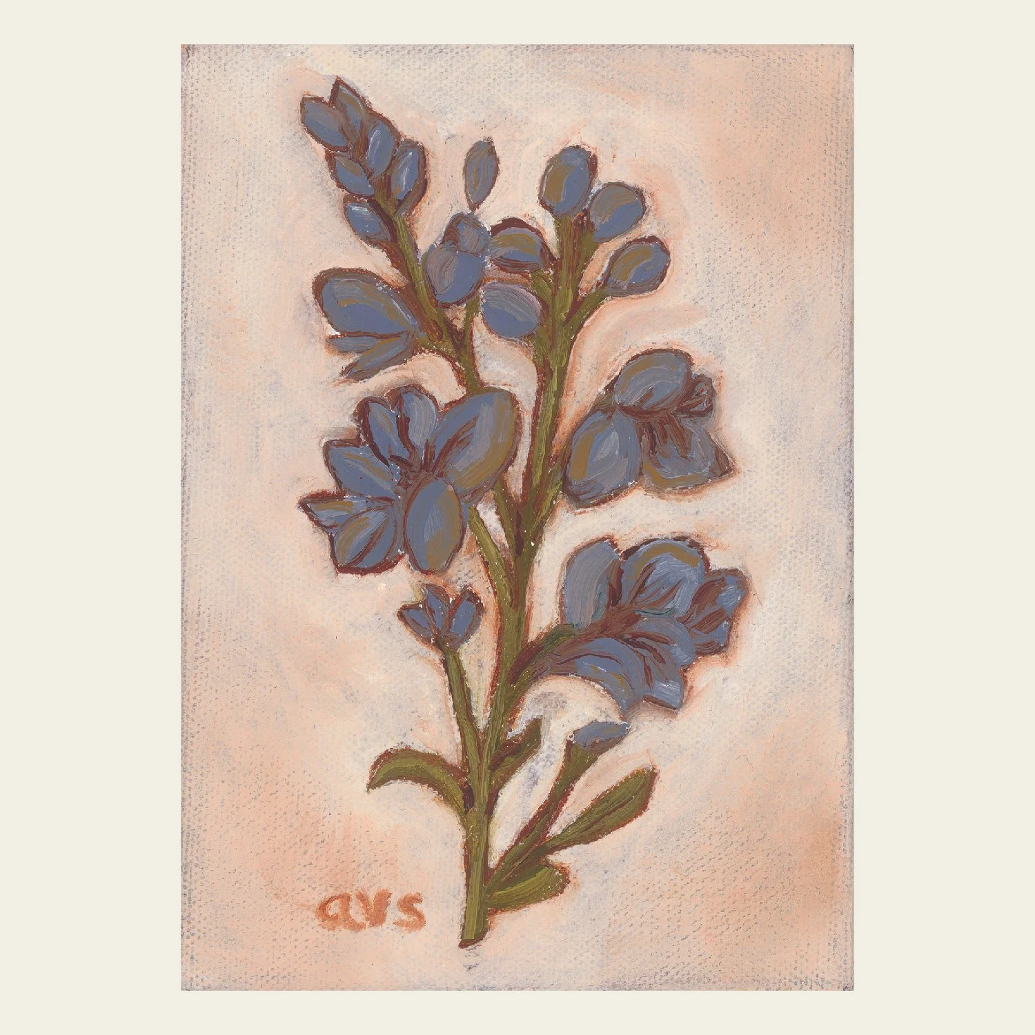 Larkspur-01.jpg