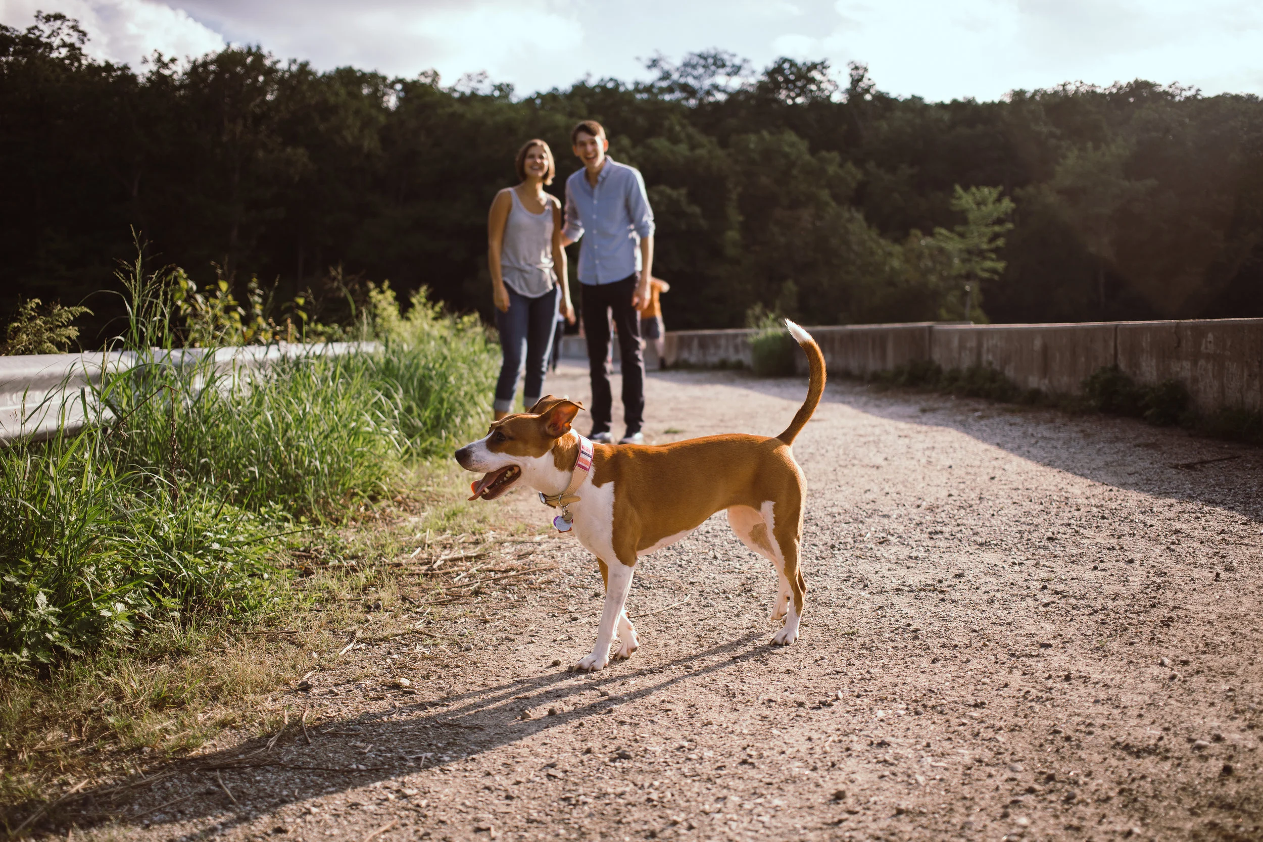 This one is pretty simple. Bring your fur baby. Your pet is the best photo assistant I could ask for because they will keep you smiling and they’ll keep us on our toes. I do recommend that either you or I bring an extra pair of hands so you can have your romantic moments too. While, brining your dog on a walk is the easiest and most common, but I’d really love for someone to bring a more exotic pet to one of these! {{where my Hedgehog people at?!}}
