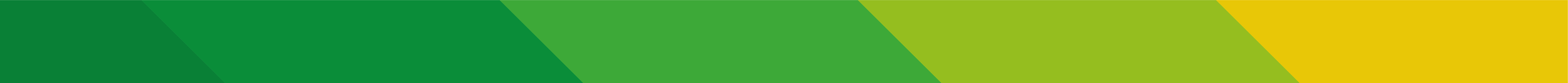Evergreen_background_thin-03.png
