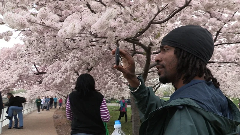 From Brandon Kramer’s 'City of Trees'. Courtesy of Meridian Hill Pictures