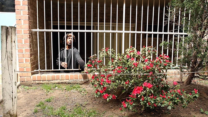 From Brandon Kramer’s 'City of Trees.' Courtesy of Meridian Hill Pictures