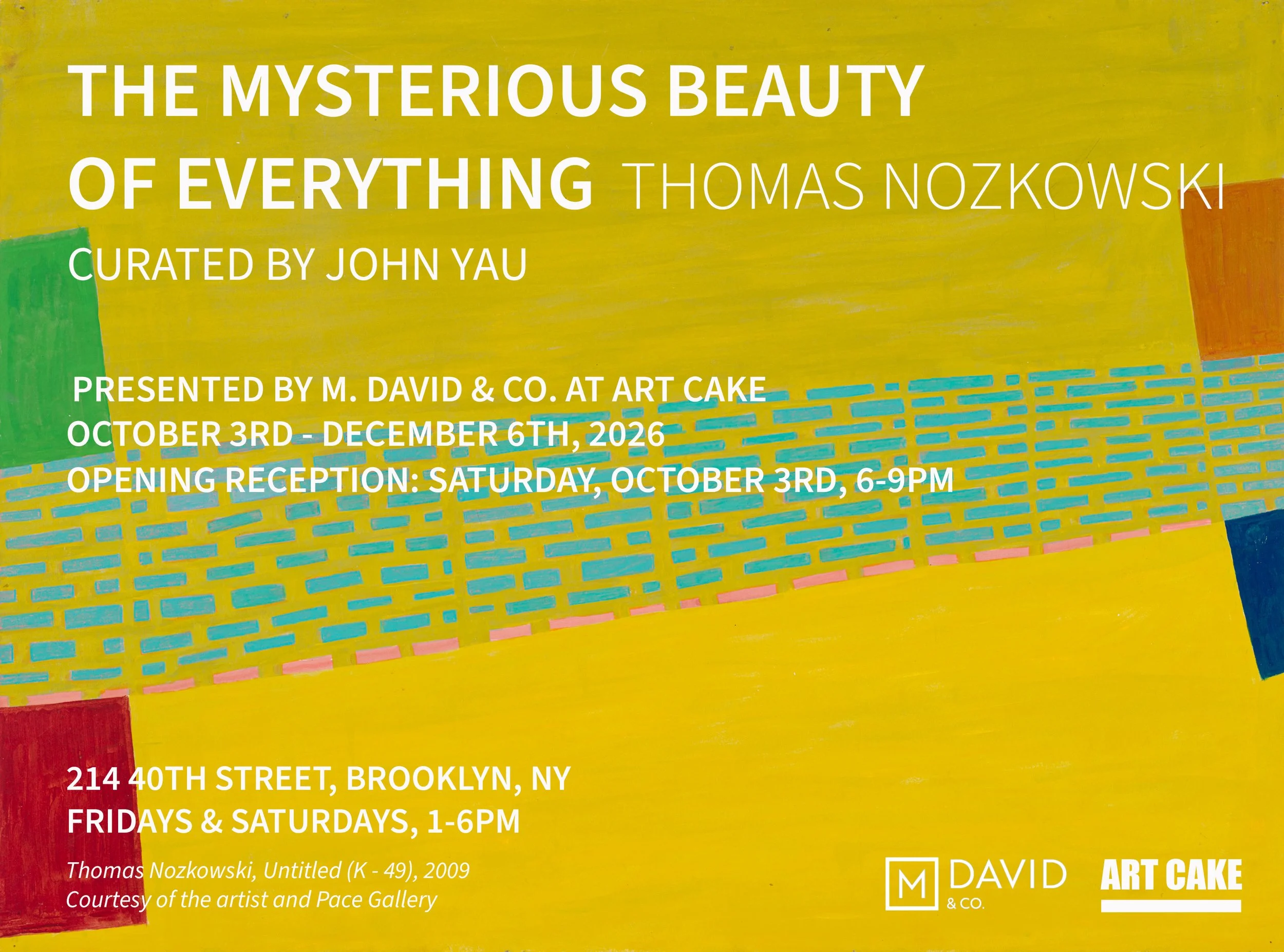 Thomas Nozkowski: The Mysterious Beauty of Everything                                             Curated by John Yau