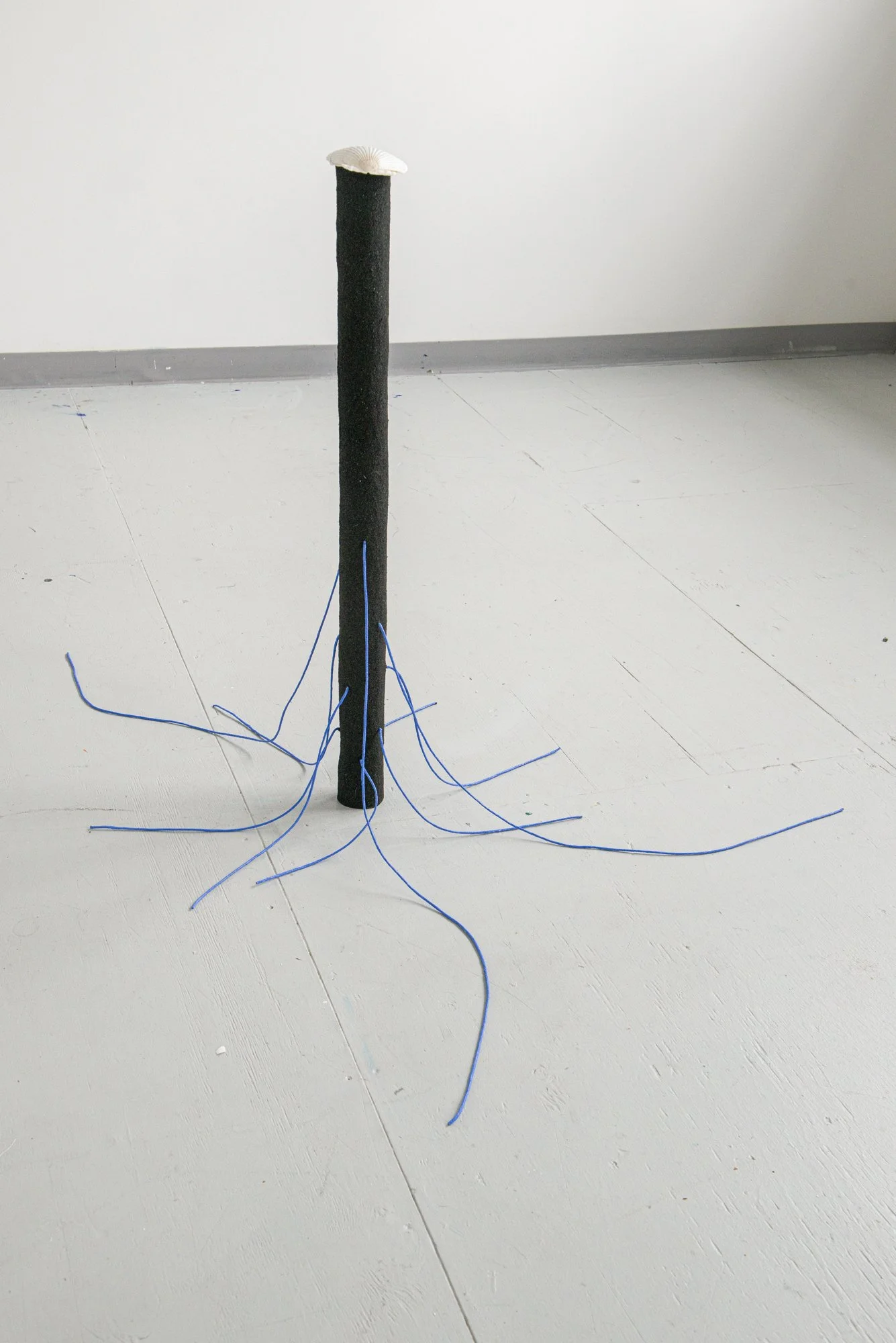 A Shell Told Me_2024_seashell, sand, acrylic paint_size varies center 37x2.75x2.75 in_1_72 DPI.jpg