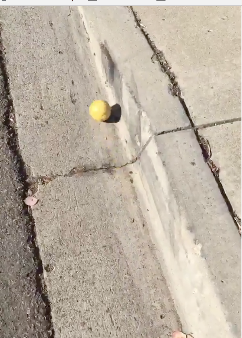 Barbarians, Soccer Ball, Glitter, Lemon, and Spoon