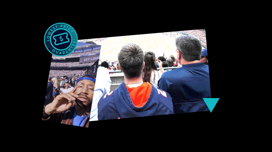 vivid seats_885px.gif