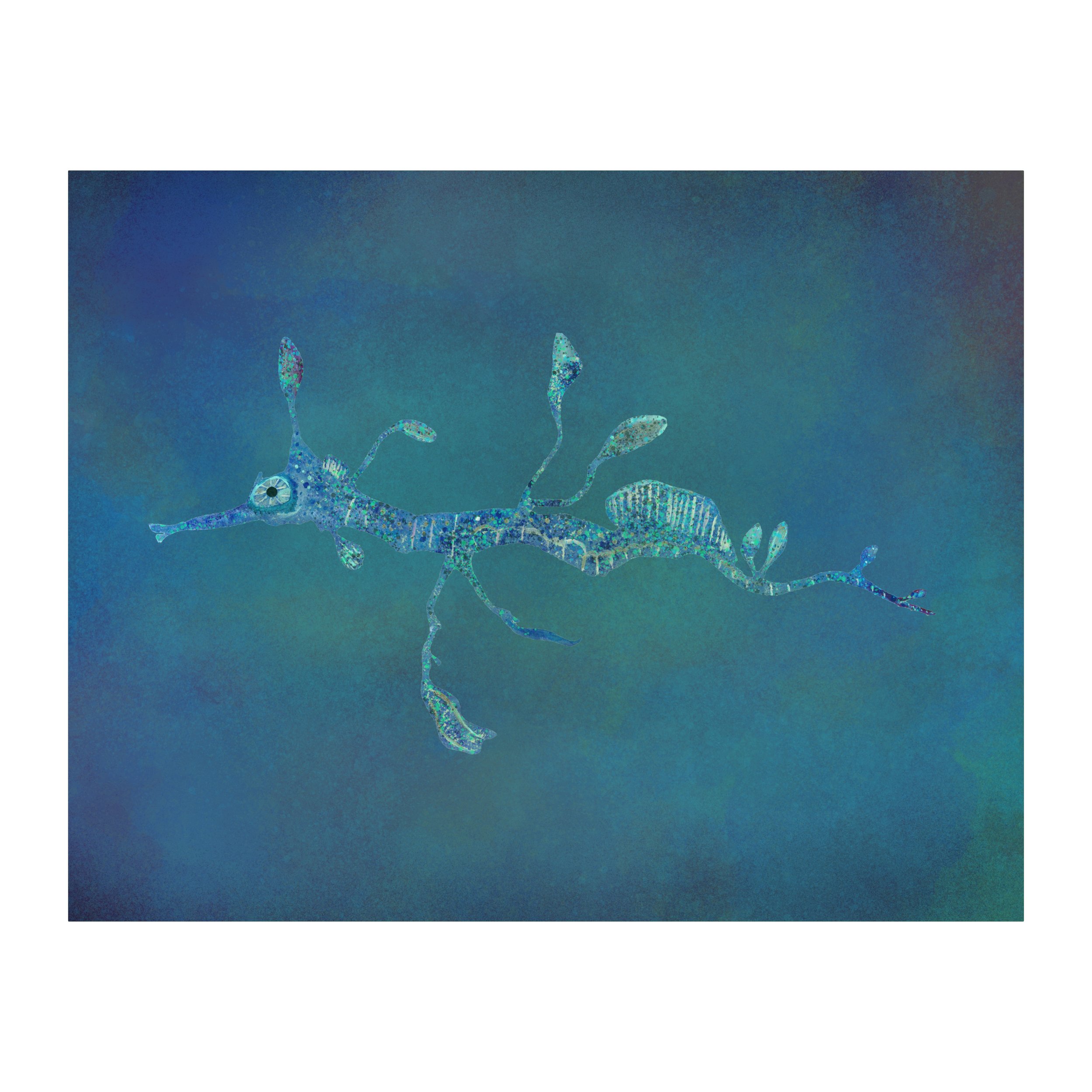 seadragon11x14MulticolorWEb.jpeg
