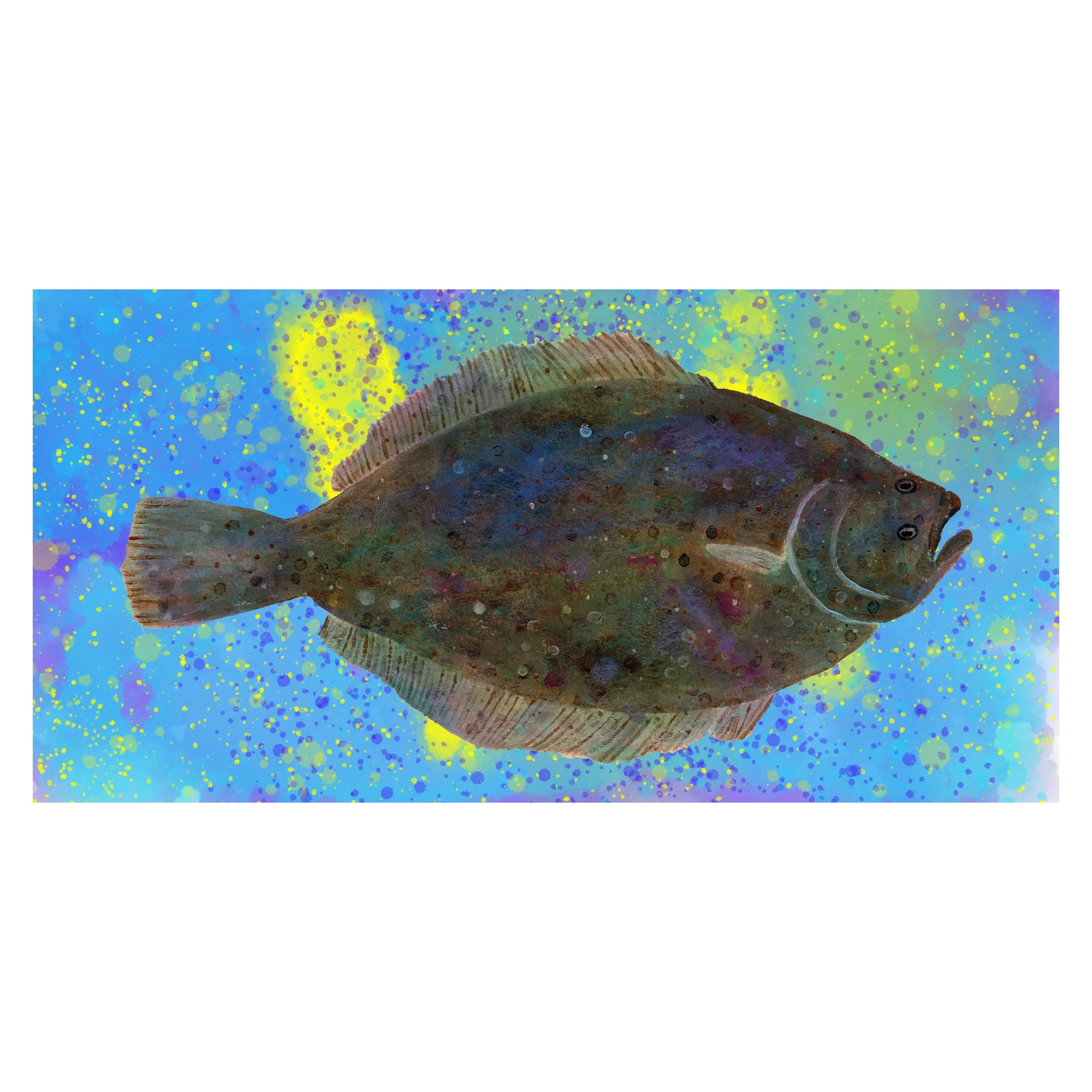 12x24flounderyellowweb.jpeg