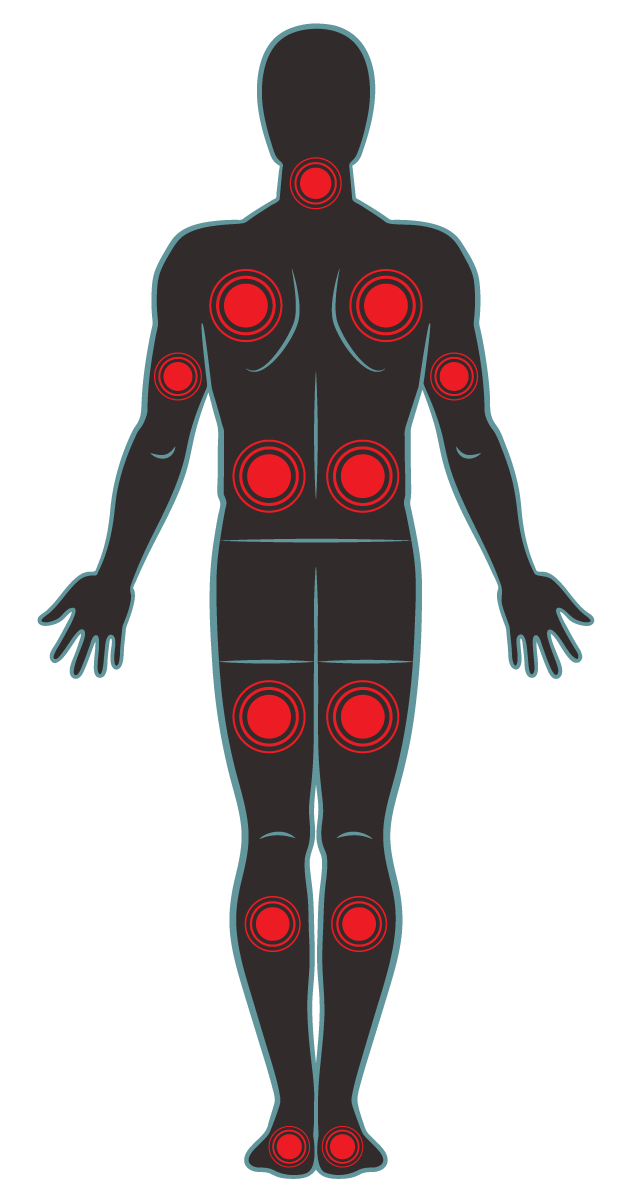 body.png