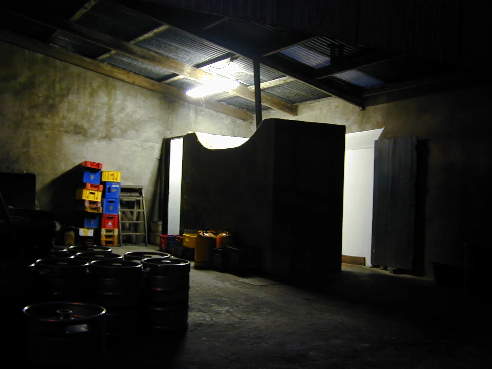 COSY LOO.JPG