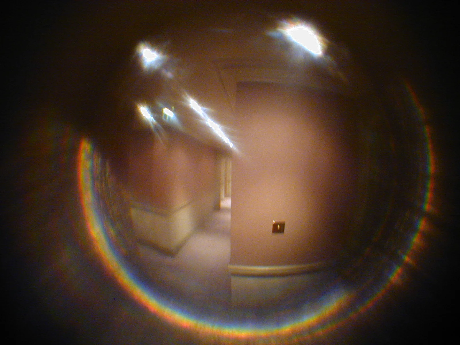 DSCN0890.JPG