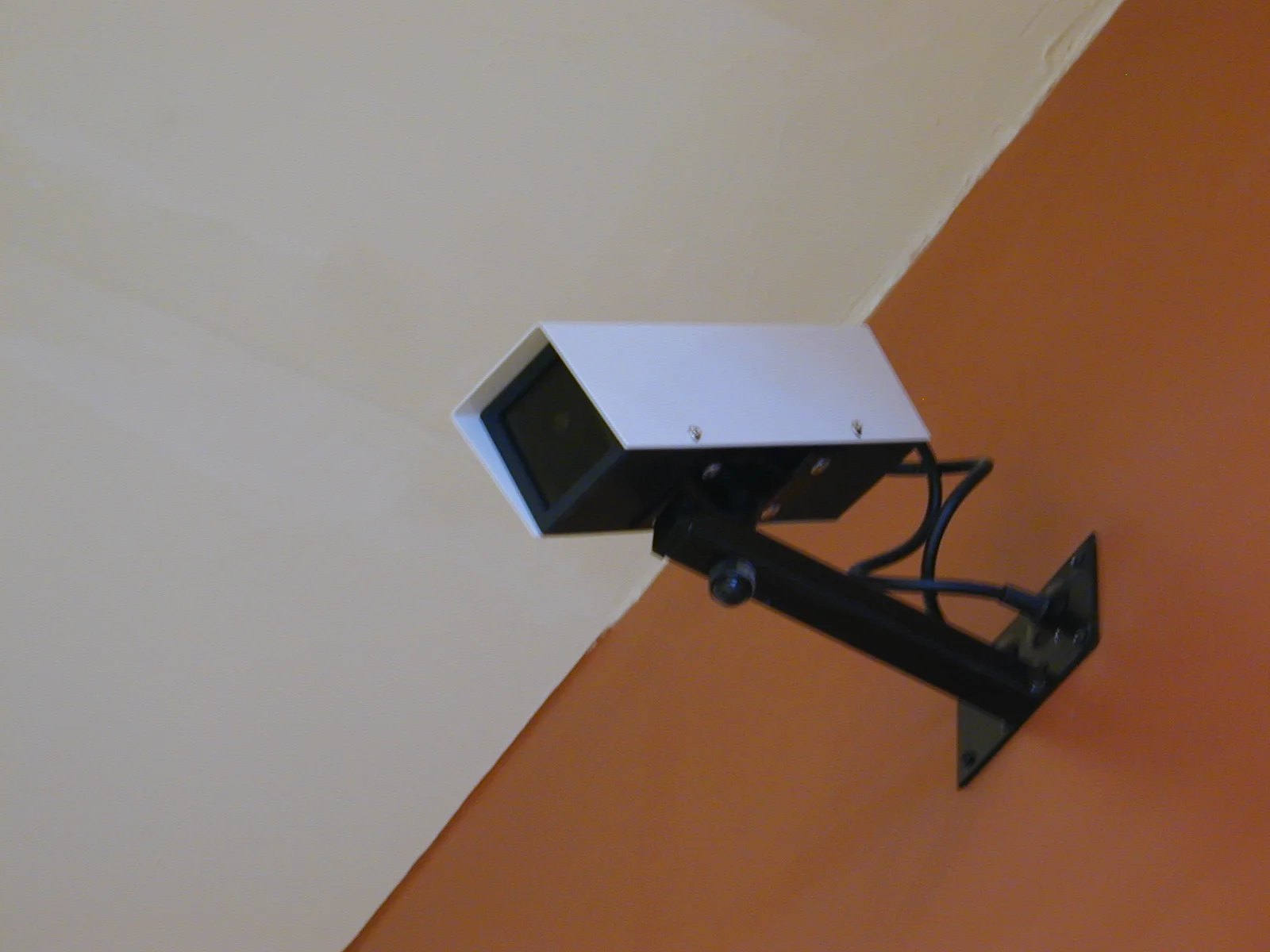 DSCN4068.JPG