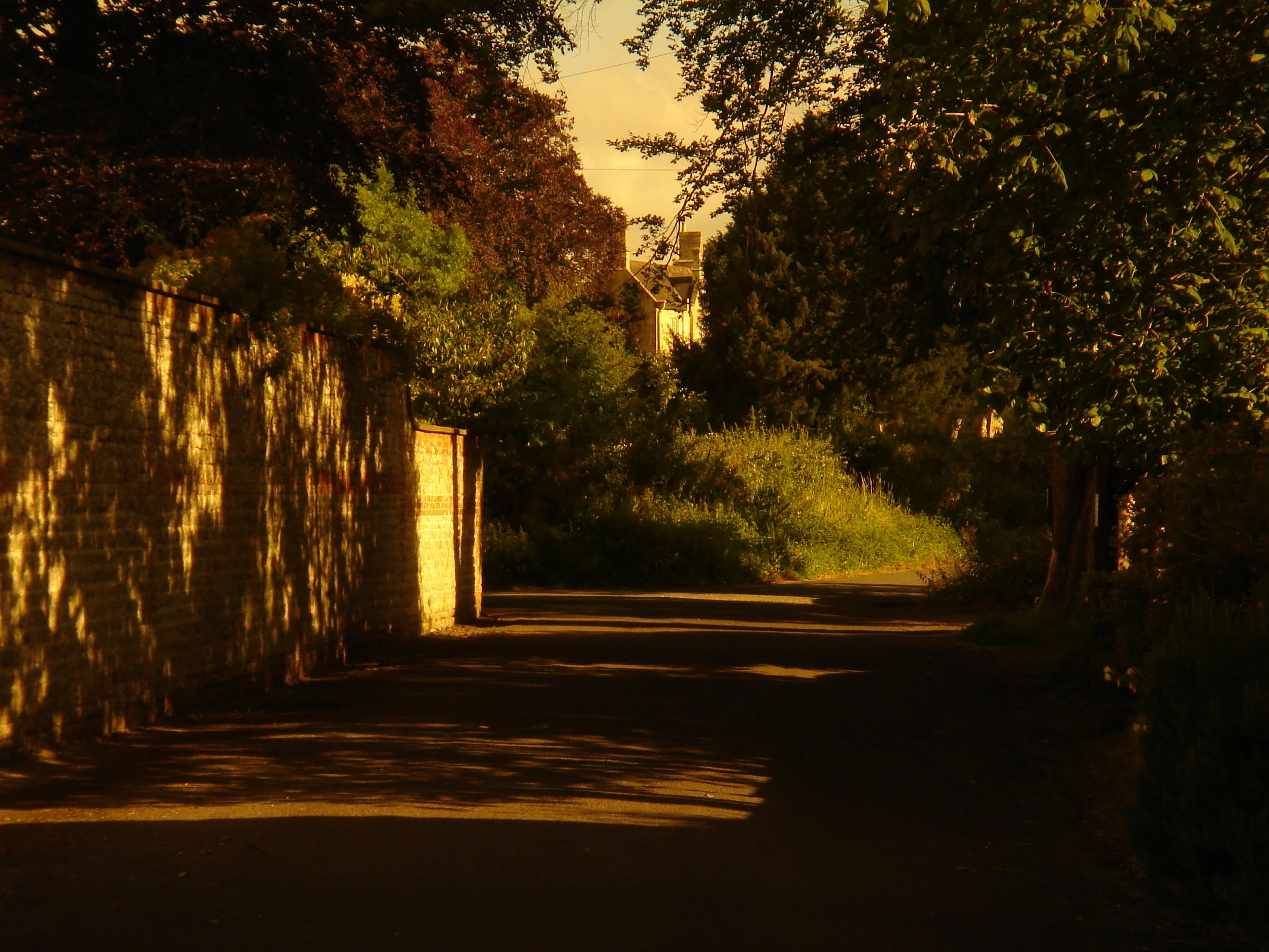 DSC07293.JPG