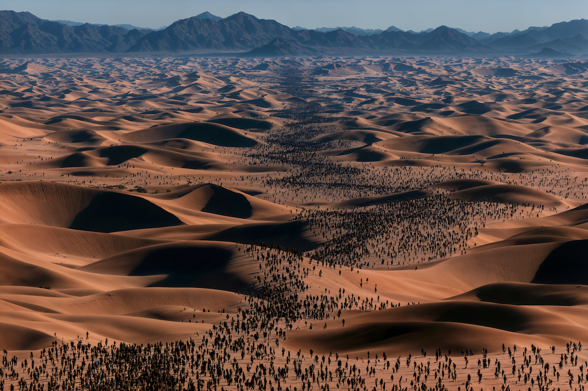  From the series, Pilgrimage (2026) 