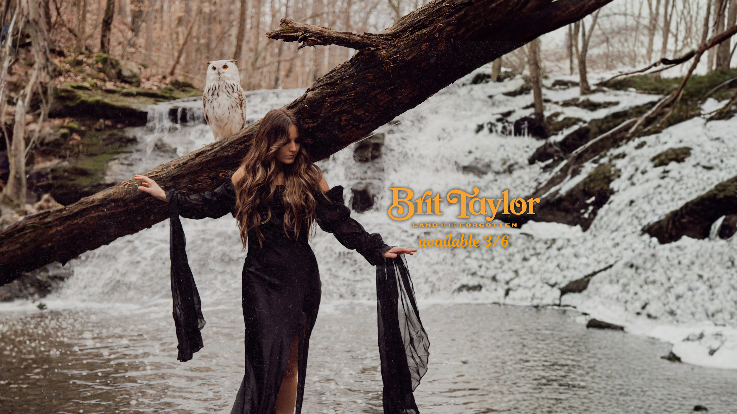 available March 6 (Blog Banner).png