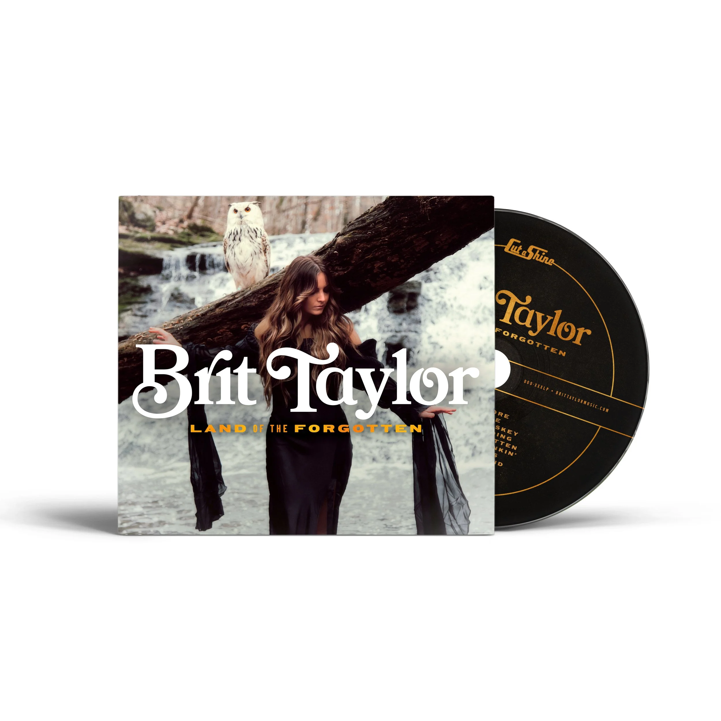 BritTaylor_LandOfTheForgotten_CD_Mockup.JPG