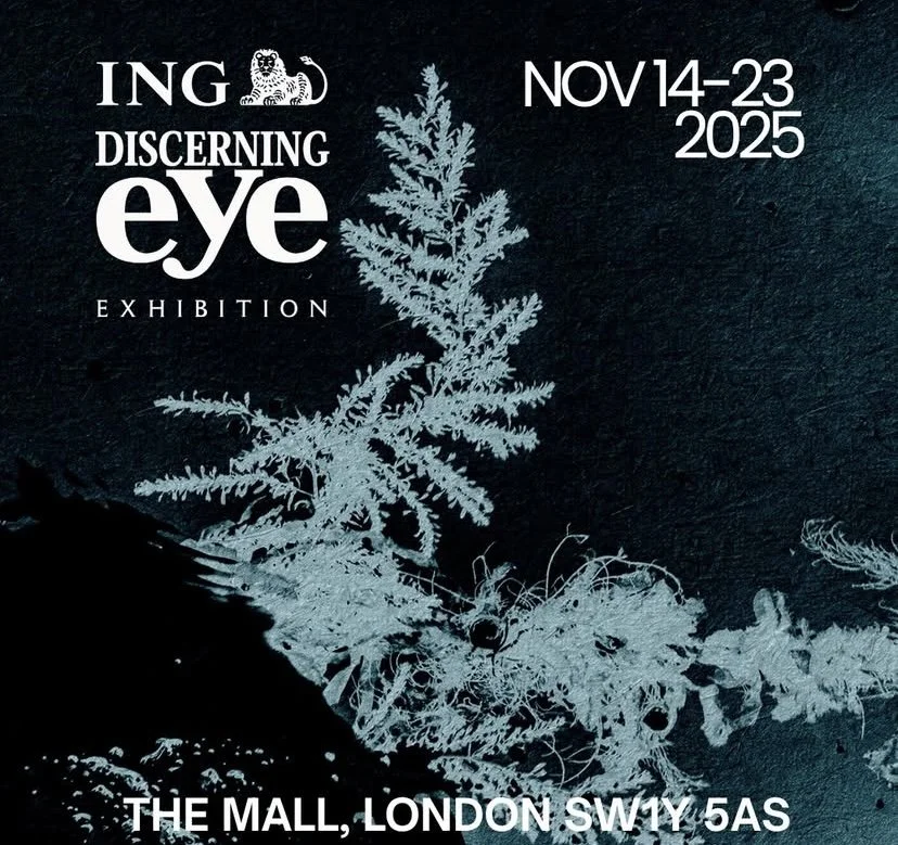 ING DISCERNING EYE