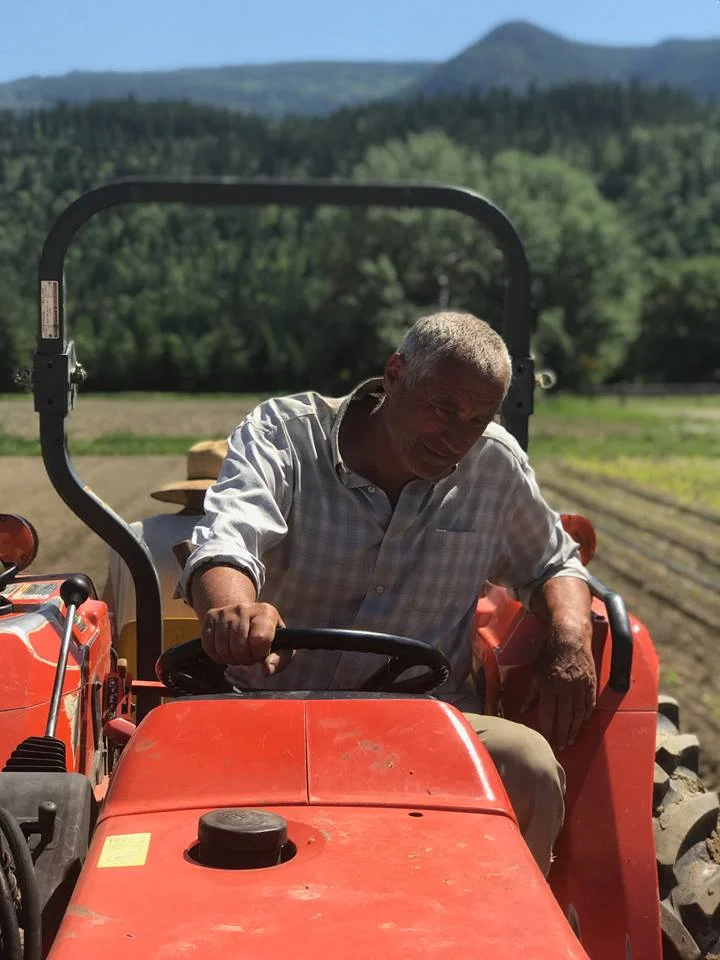 Wolf Wesle, owner of Greencroft Gardens and president of the board of directors, transplanting crops on his 10 acre organic farm.