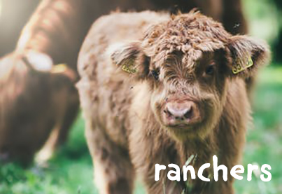 Ranchers.jpg