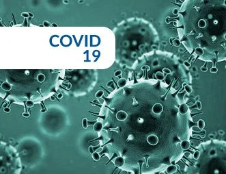  LWVMN Updates 2020 Census Tools and Resources based on COVID-19 Impacts