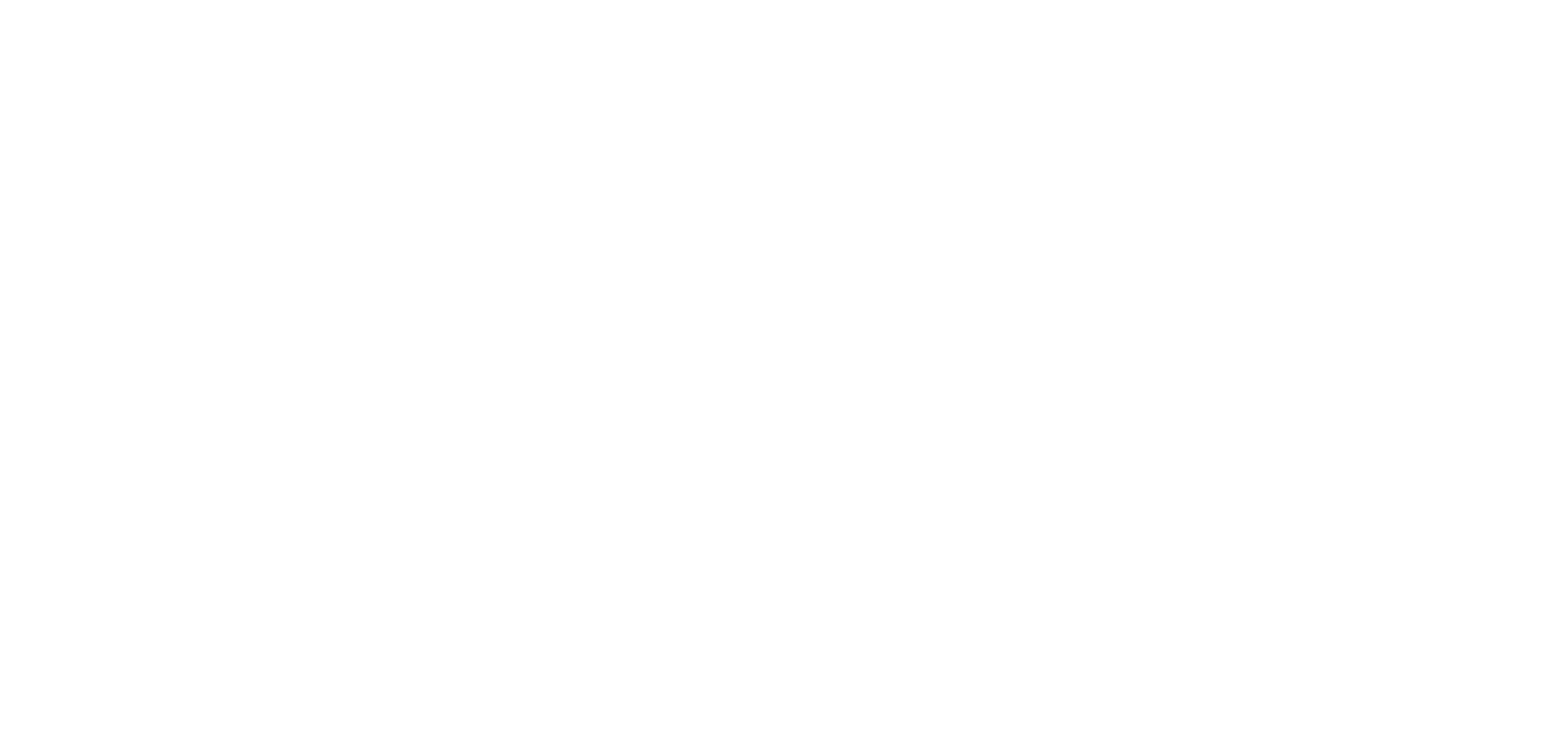 BM_Logo_white.png