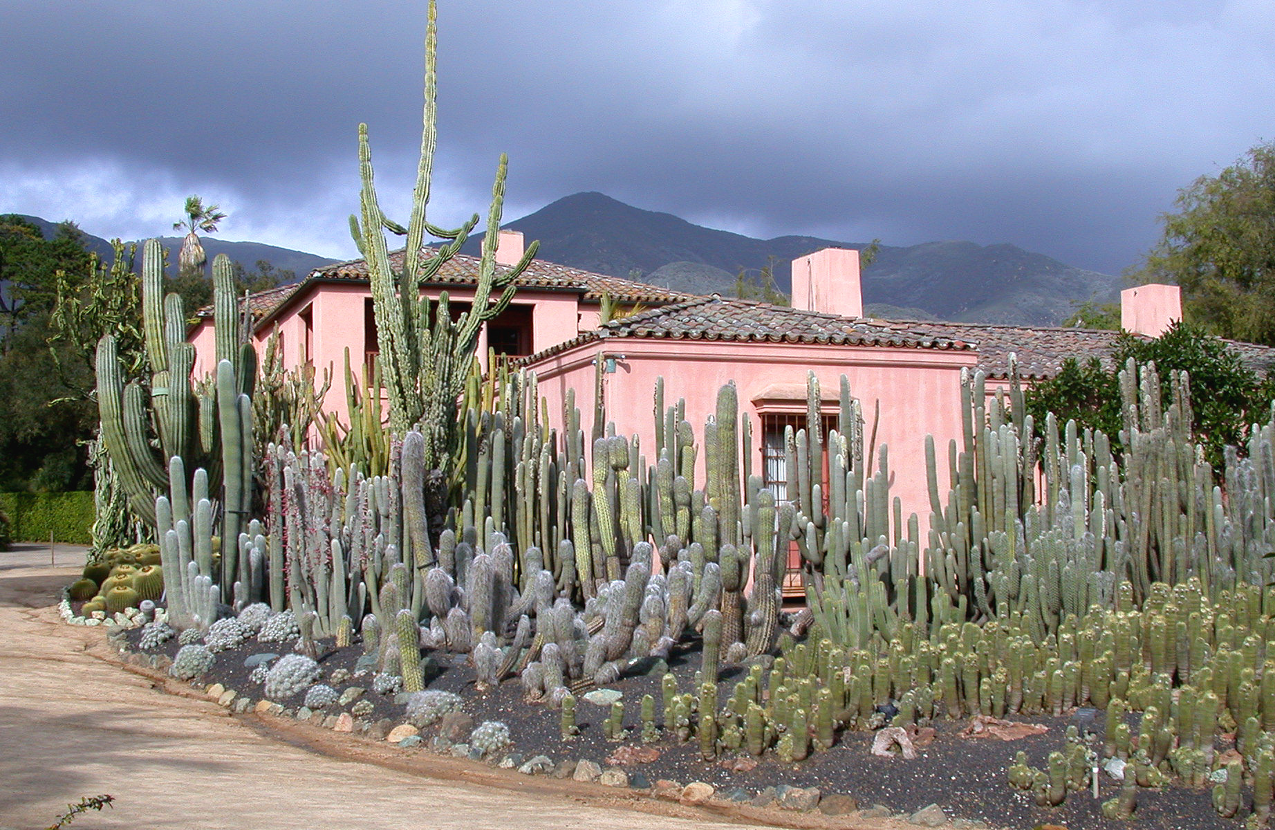 main house with cactus.jpg