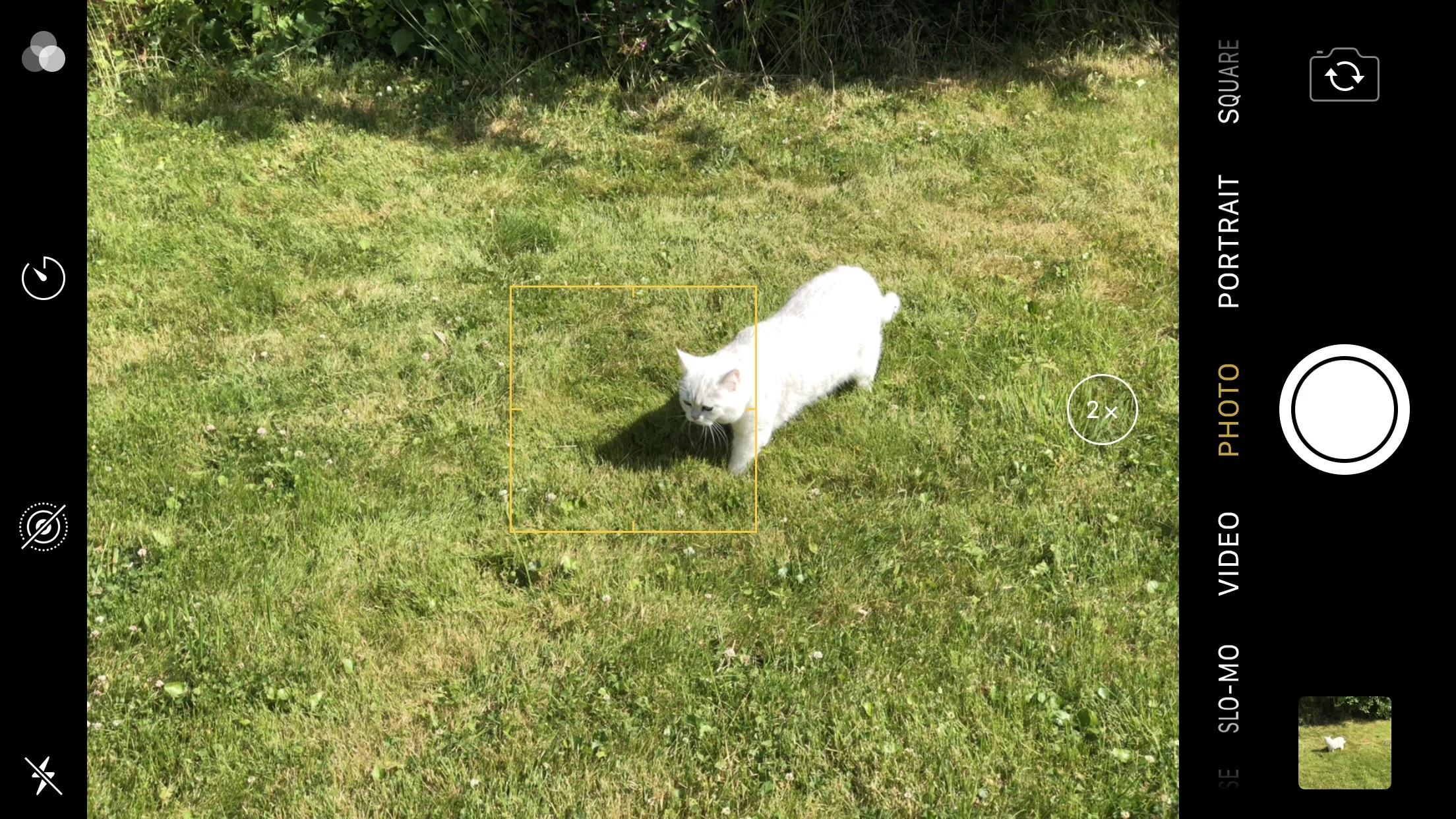 Tap to focus, which brings up the focus/exposure box.