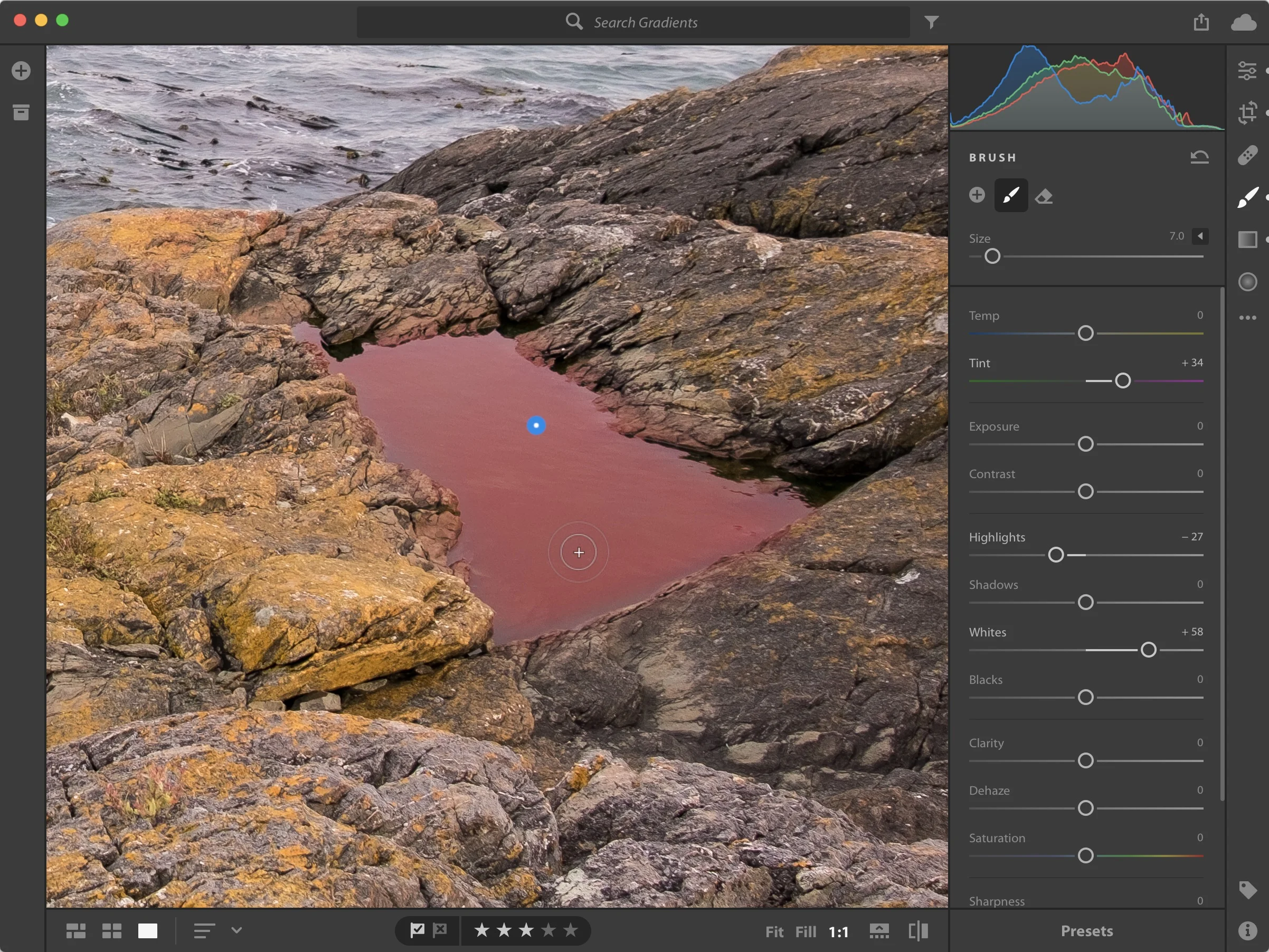 I painted the pool using the Brush tool (with the overlay visible here to make it easier to see).