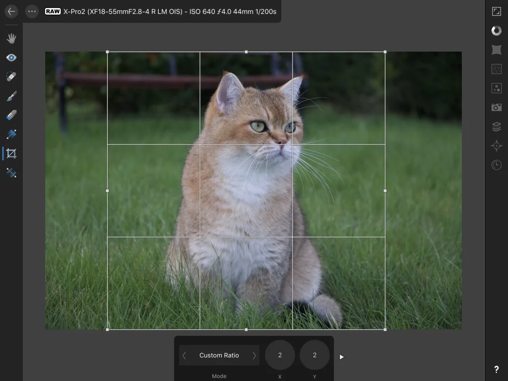 Cropping in Affinity Photo for iPad