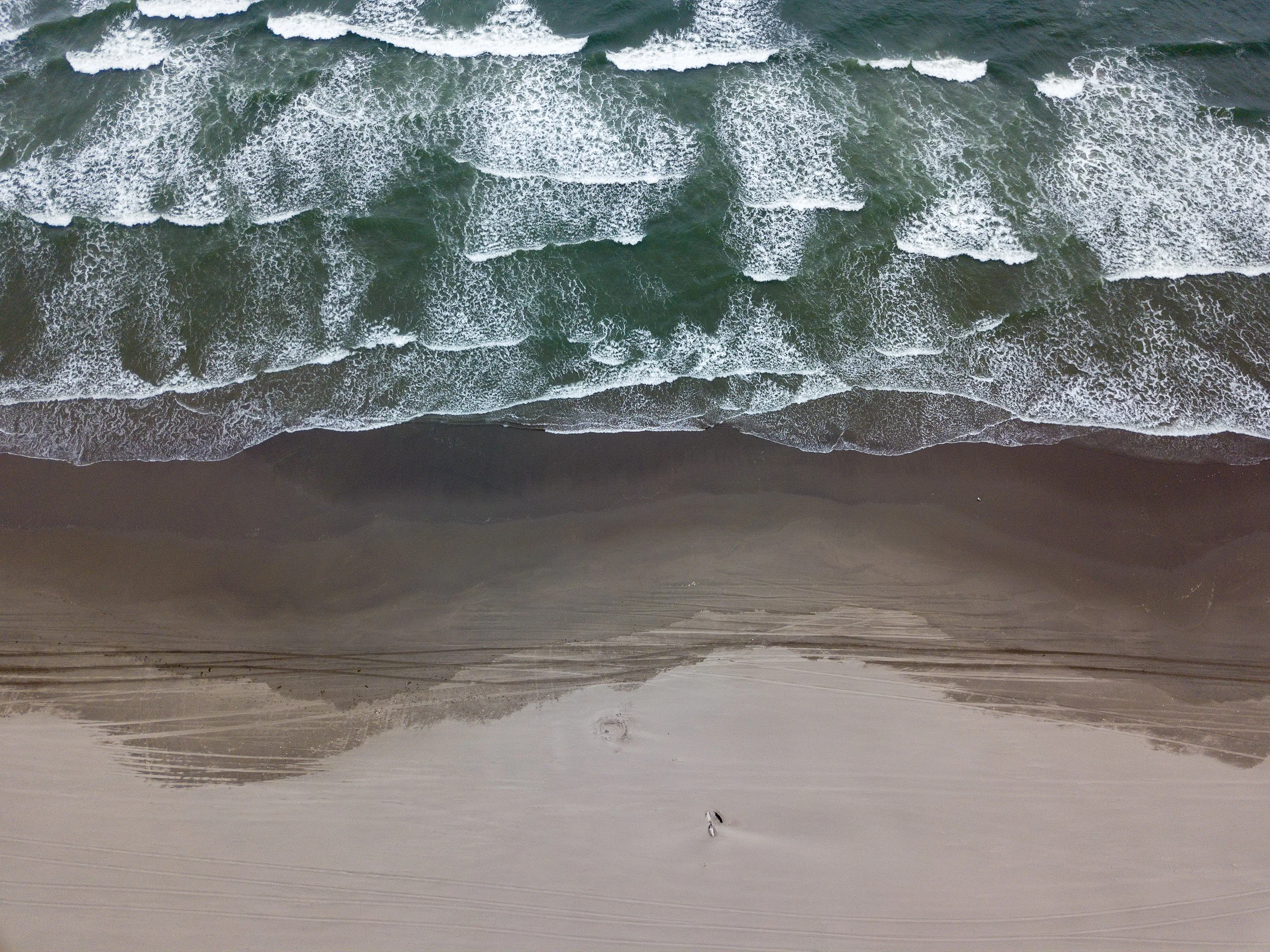 DJI_0025.jpg