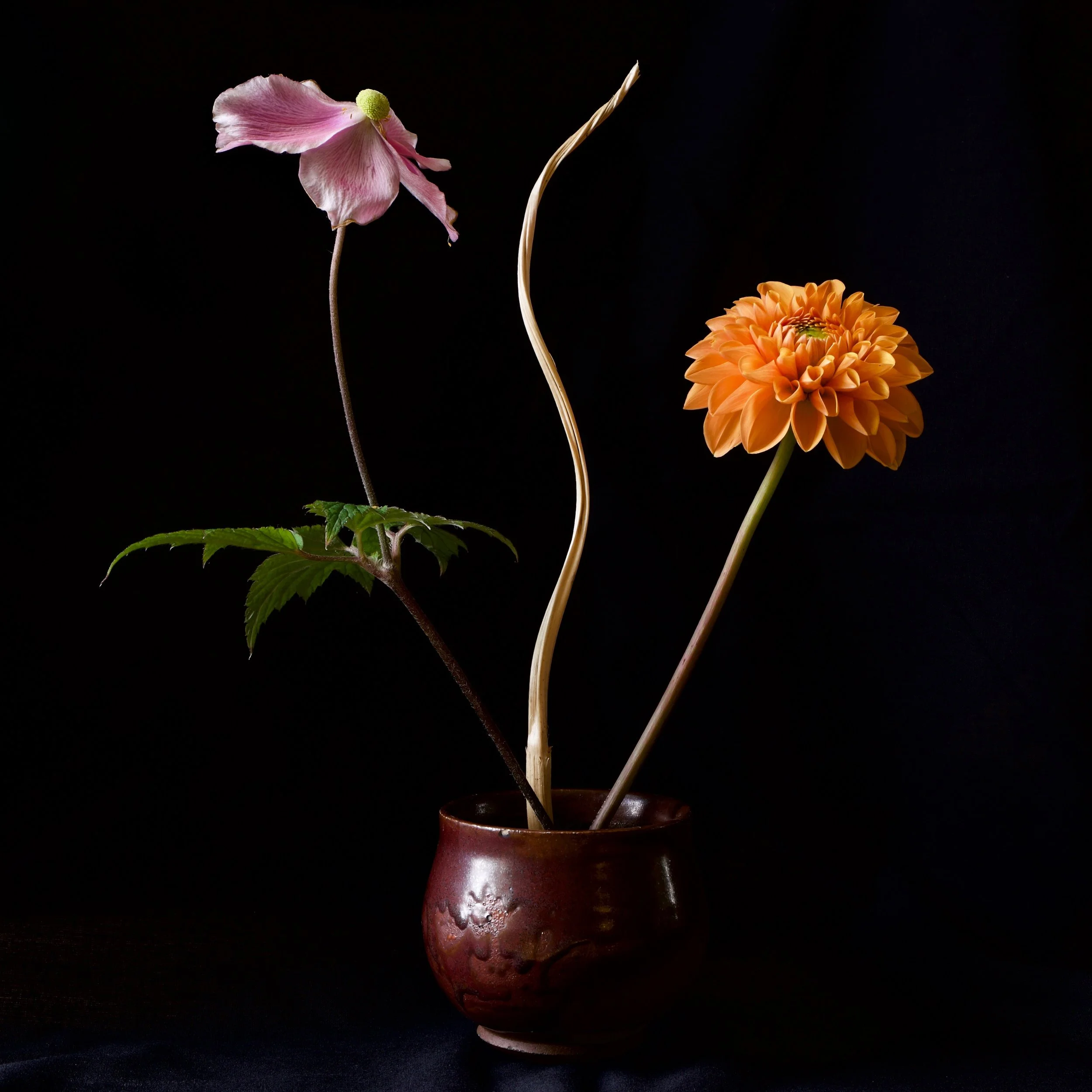Ikebana Camera: Fujifilm X-T3 Shutter speed: 1/3 sec Aperture: f/8 ISO: 160 Photo: Kirk McElhearn
