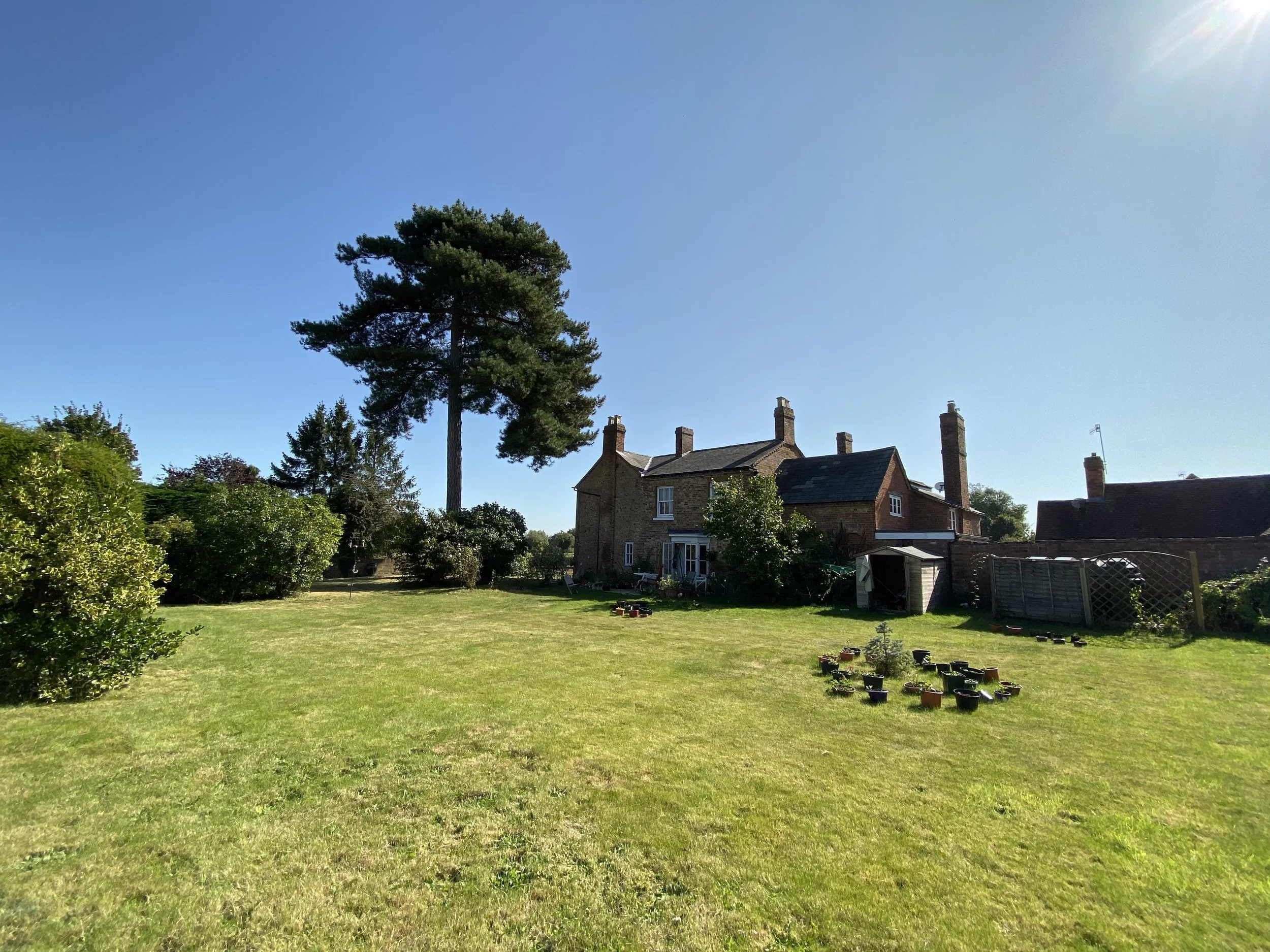 Episode 52: iPhones 11 and Semantic Rendering