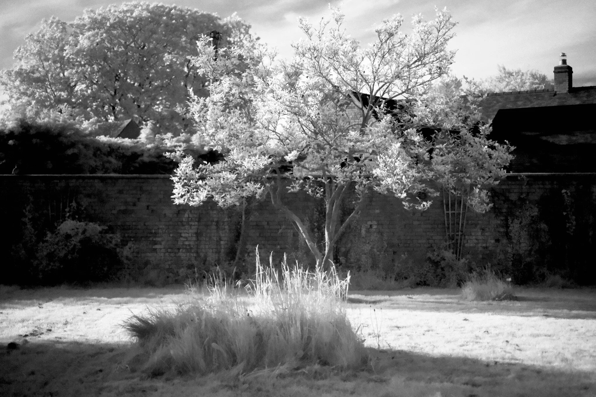 Episode 95: Lens Filters Are Cool