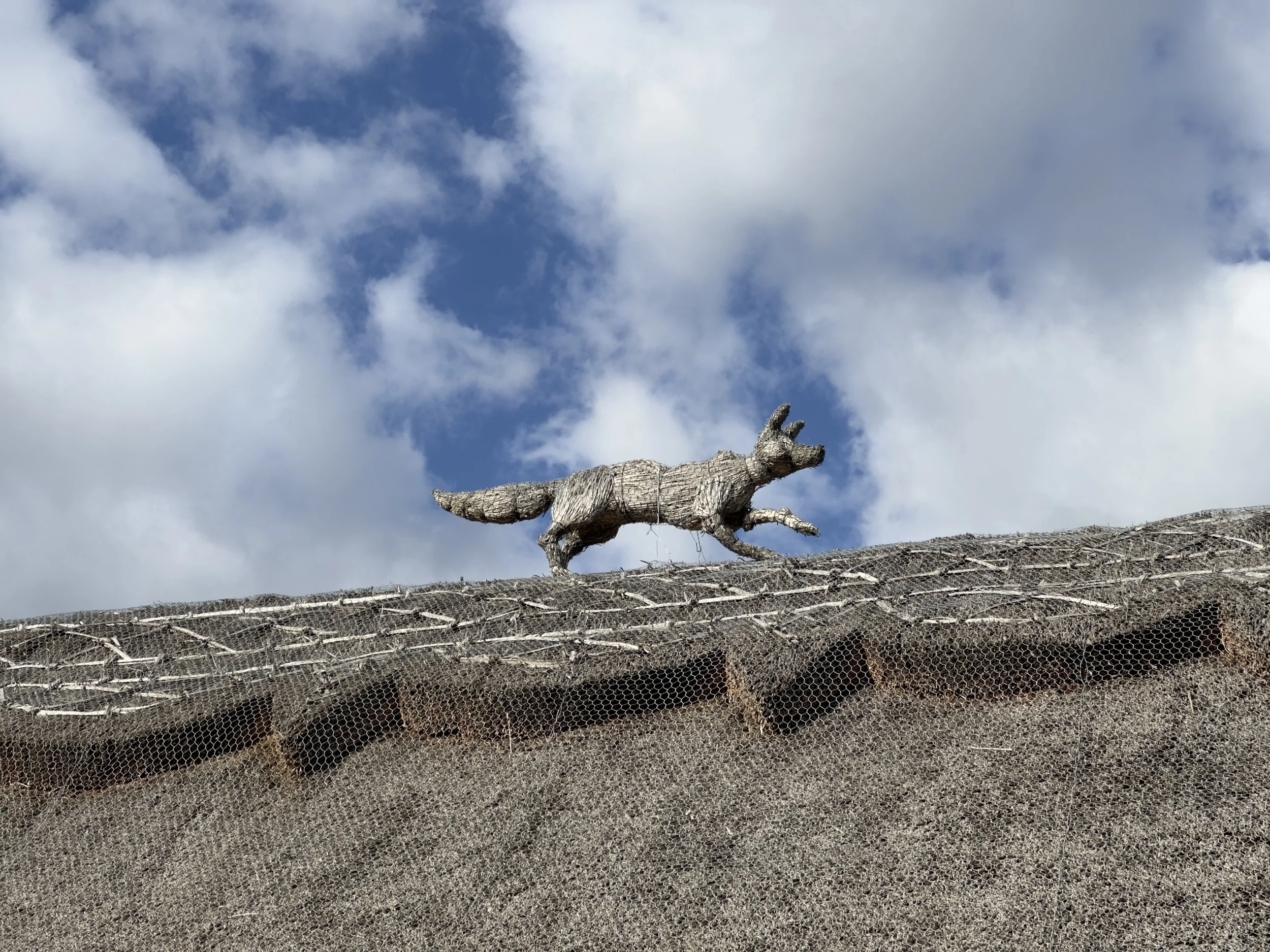 Episode 127: Hands-On with the iPhone 14 Pro Cameras