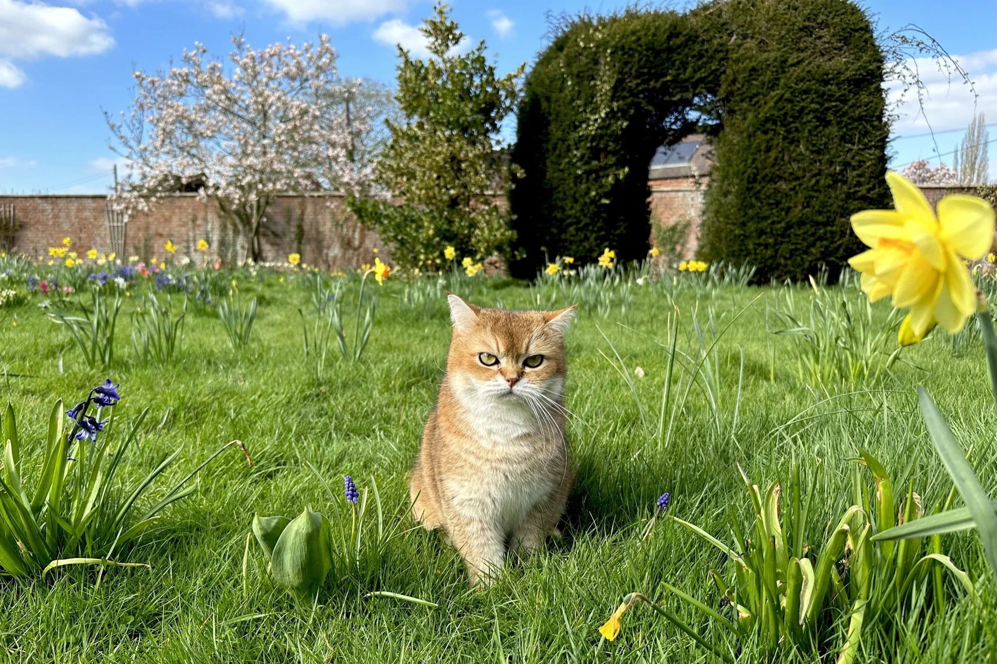 Episode 139: The Rant Episode