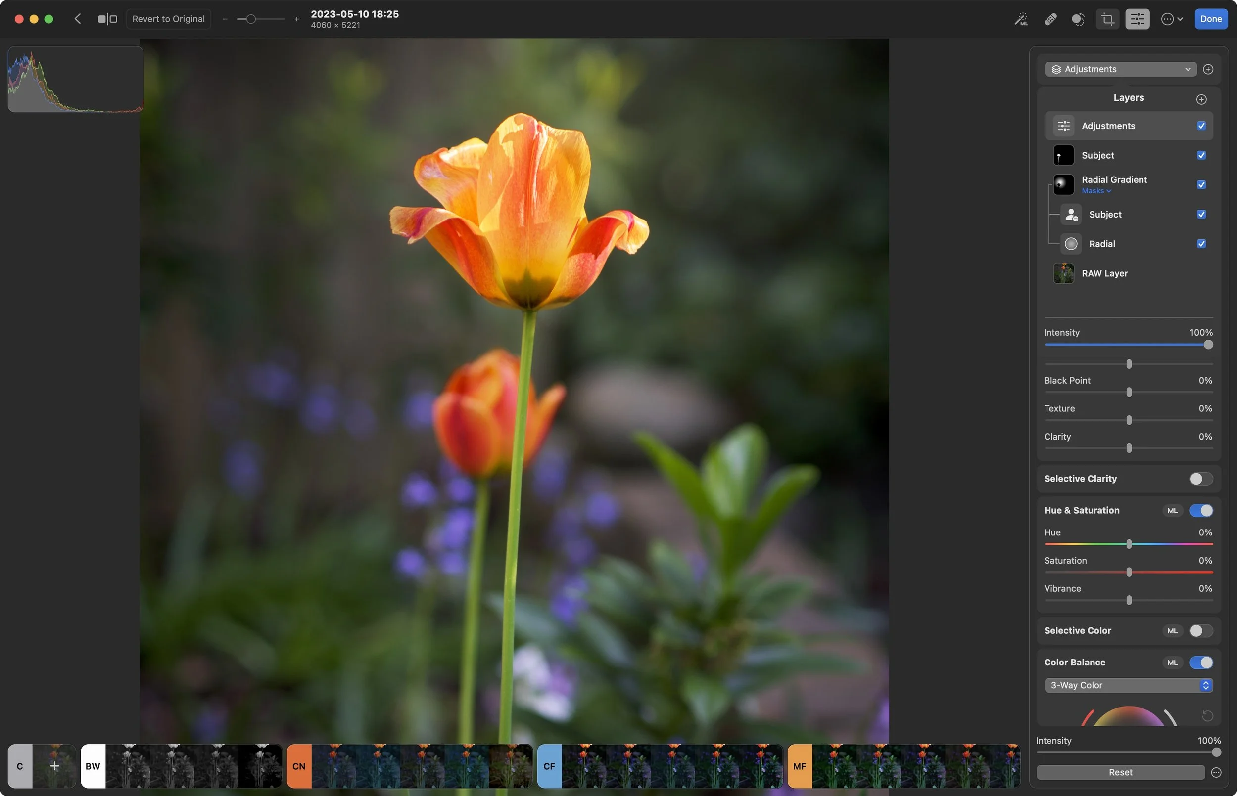Episode 142: Photomator