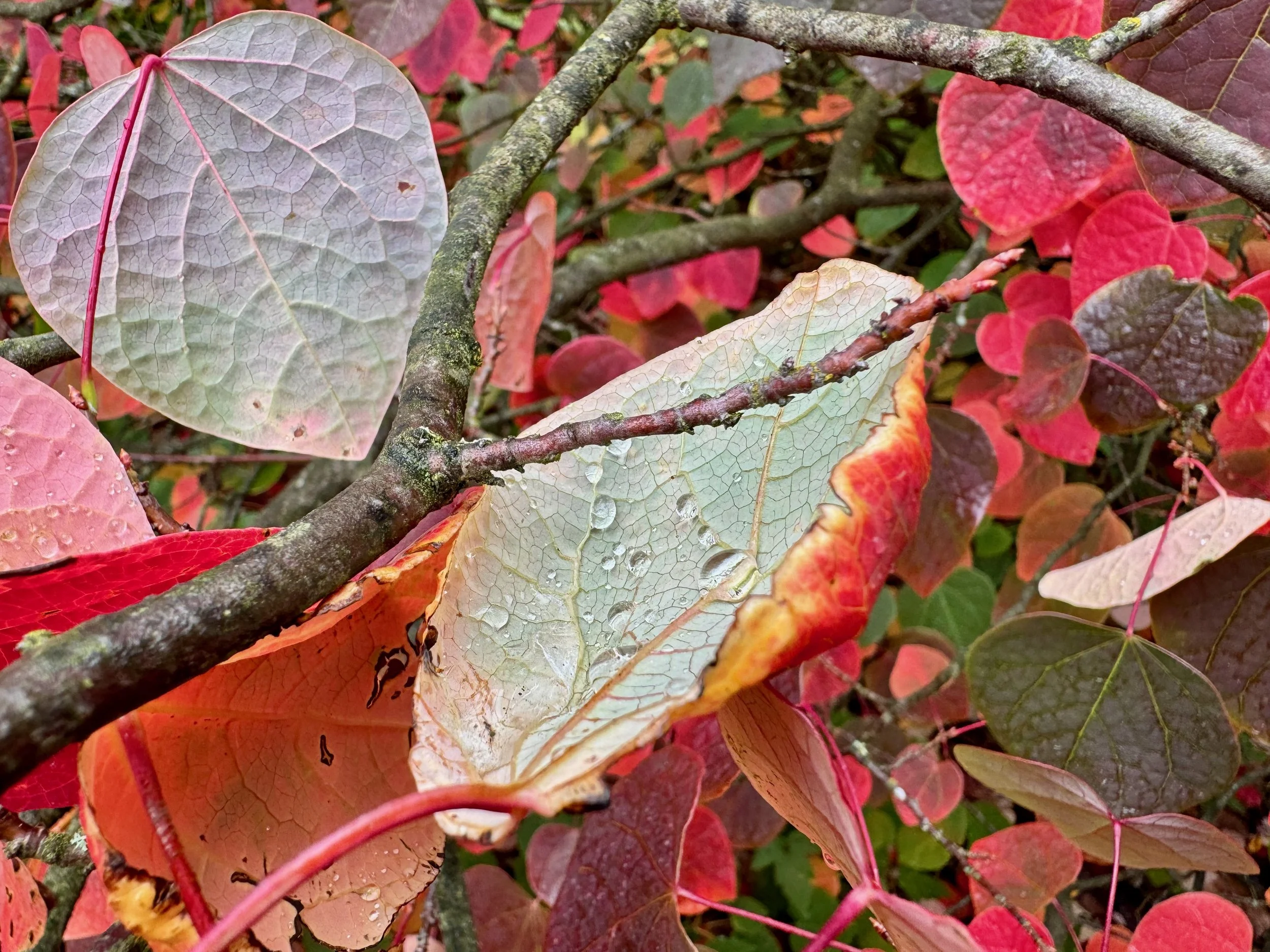 Episode 151: iPhone 15 Pro Hands On