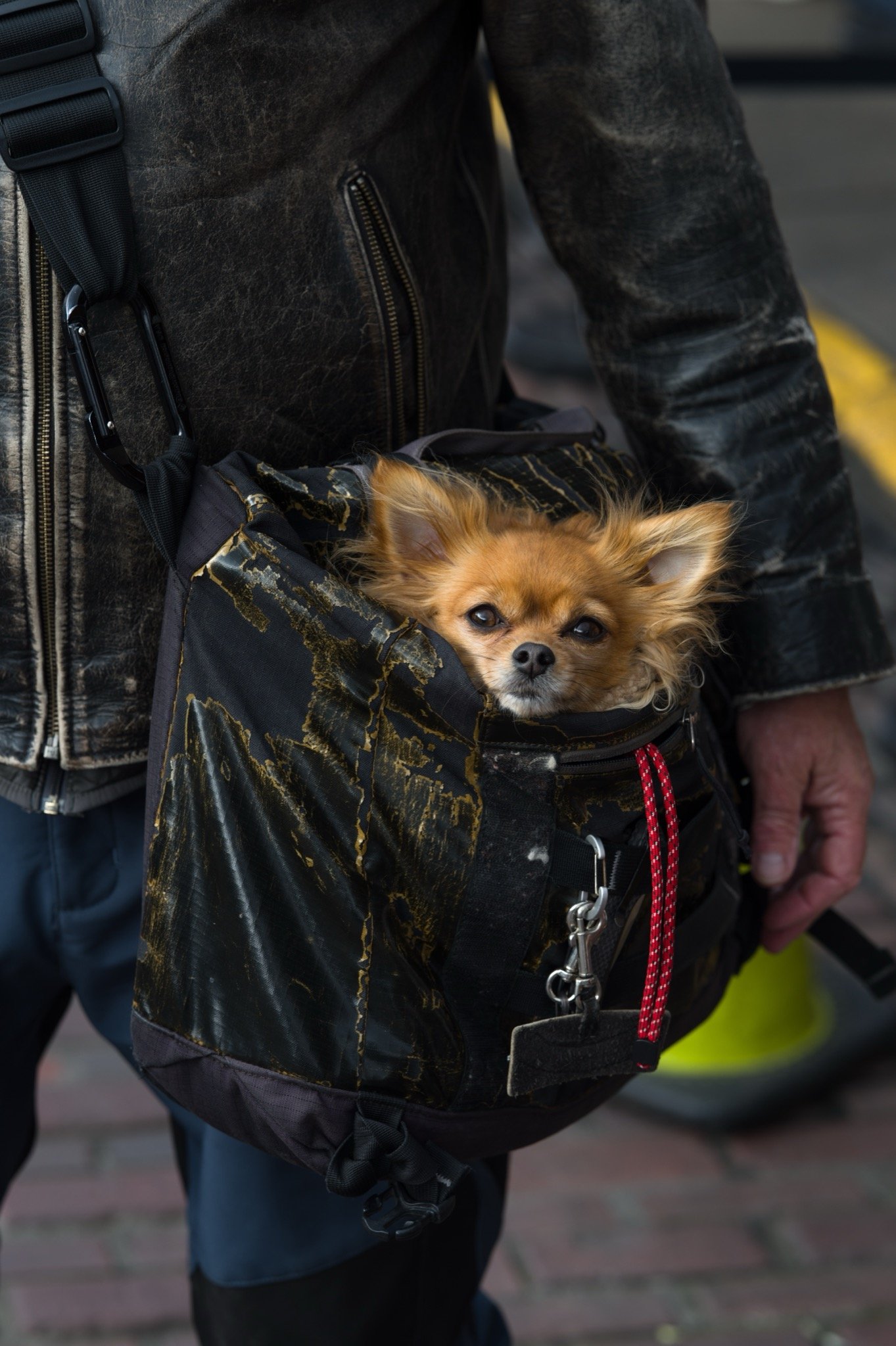 Episode 160: Primed by Seeing