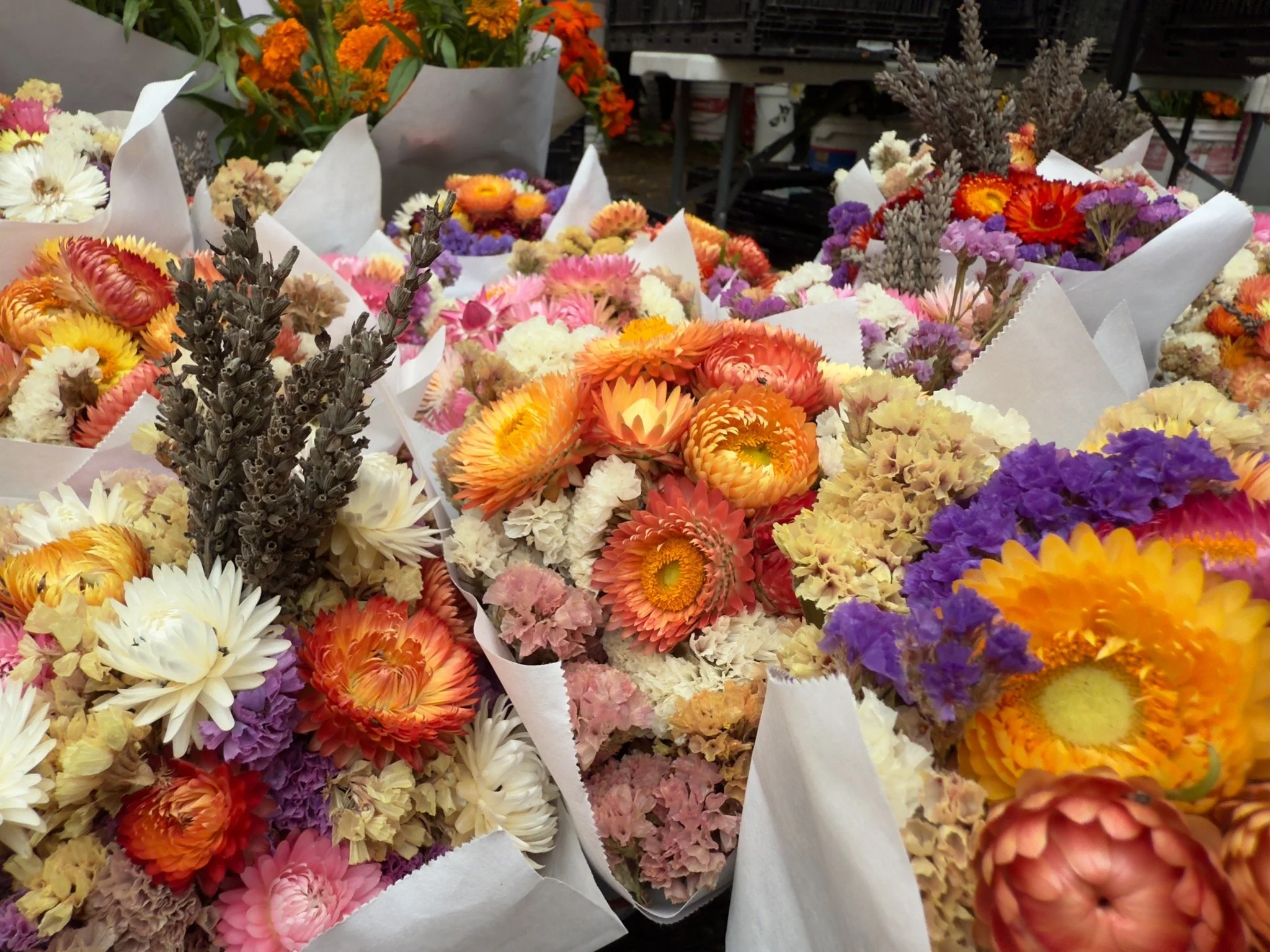 Episode 171: iPhone 16 Pro Hands-On