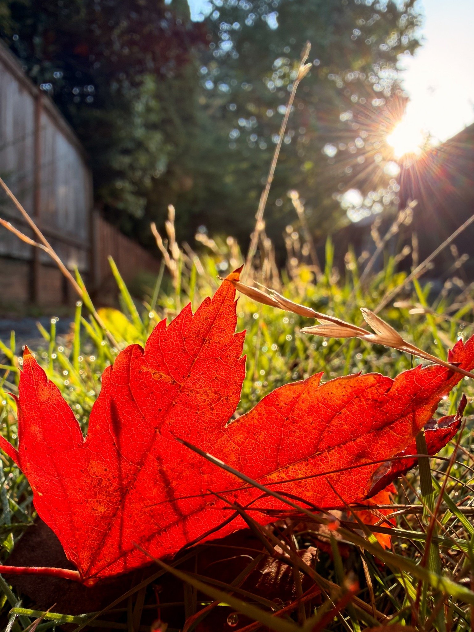 Episode 195: Hands On with the iPhone 17 Pro