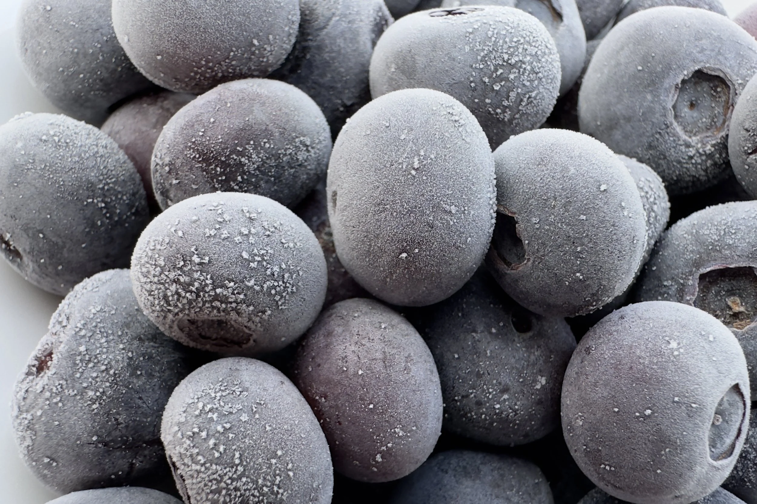 Close up photo of frozen blueberries