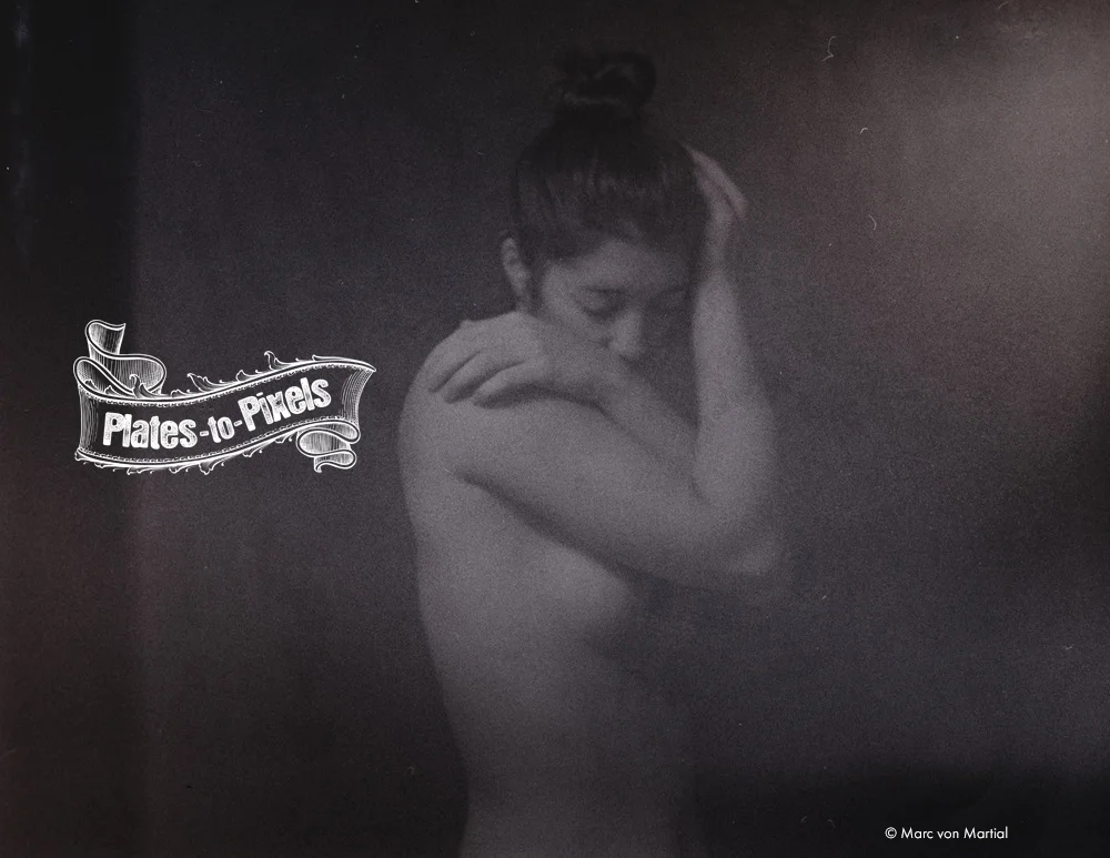 Plates to Pixels | Call for Portfolios