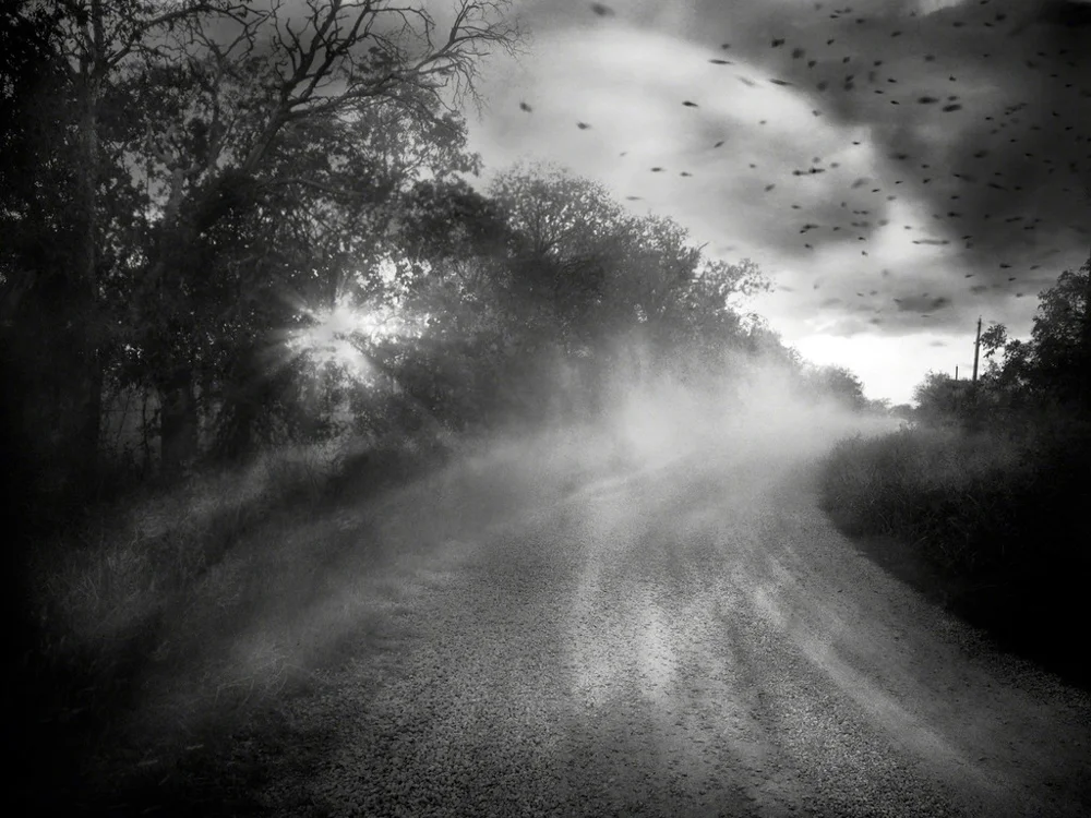 Poignant Pics no. 9 // Tami Bone