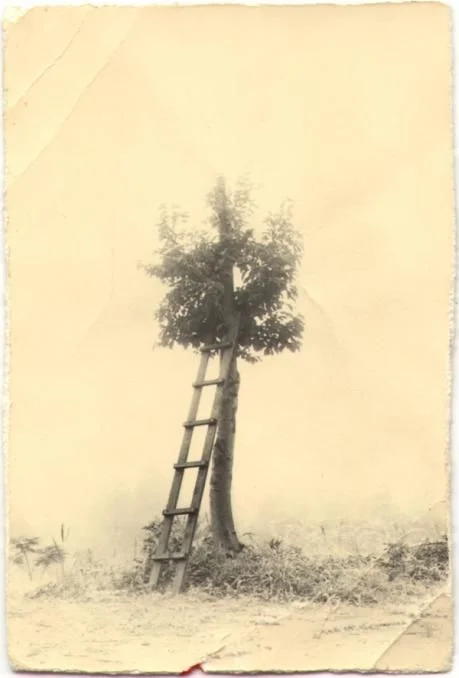 Poignant Pics no. 14  //  J Swofford