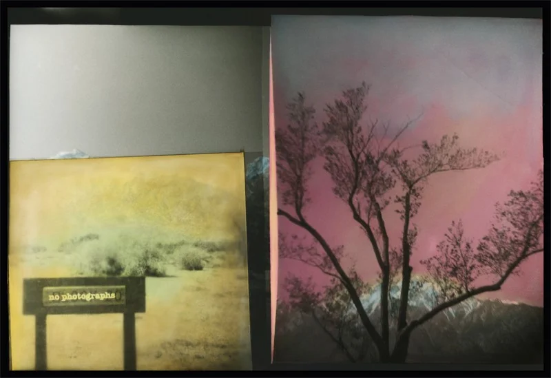 Aline Smithson interview