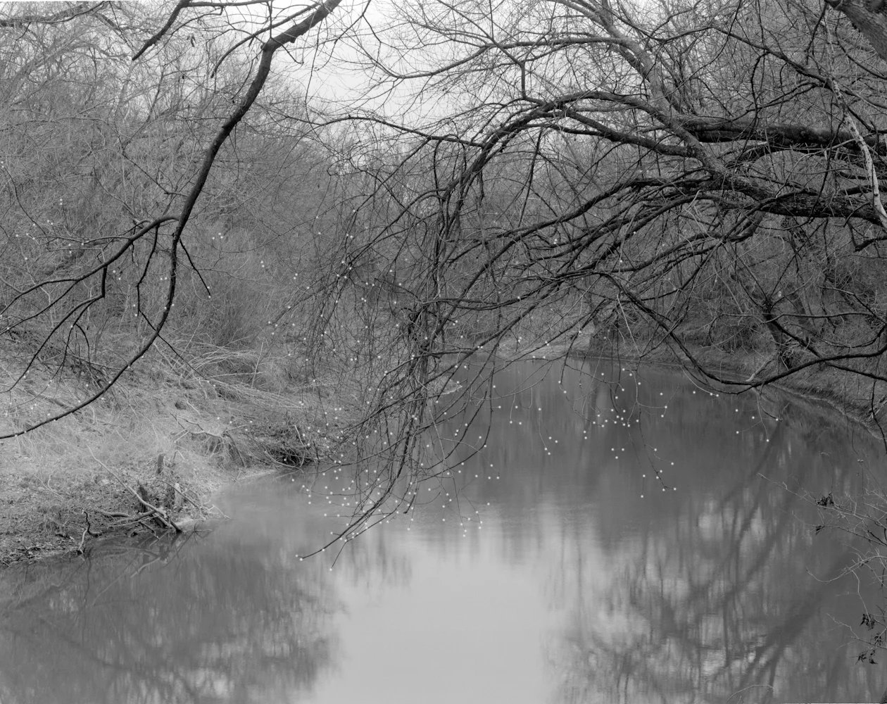 Landscape results are in (Plates-to-Pixels)