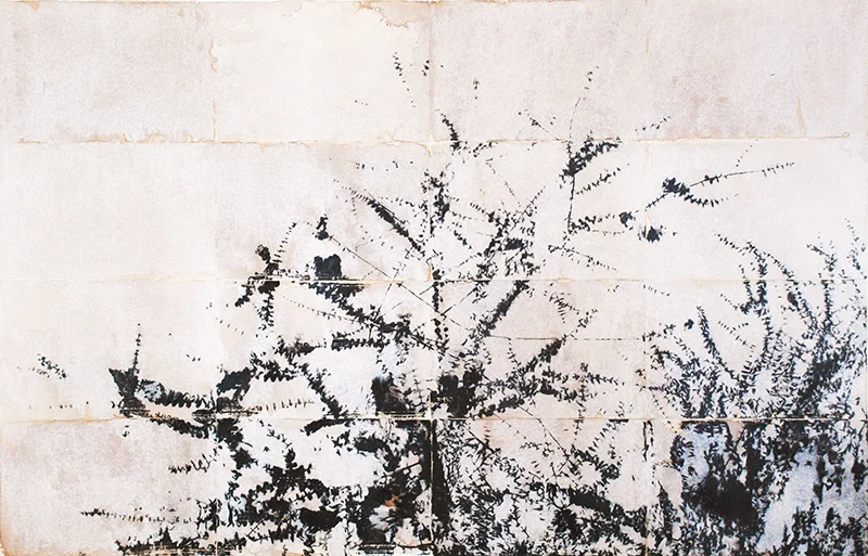 timber_oil_gum_and_resin.jpg
